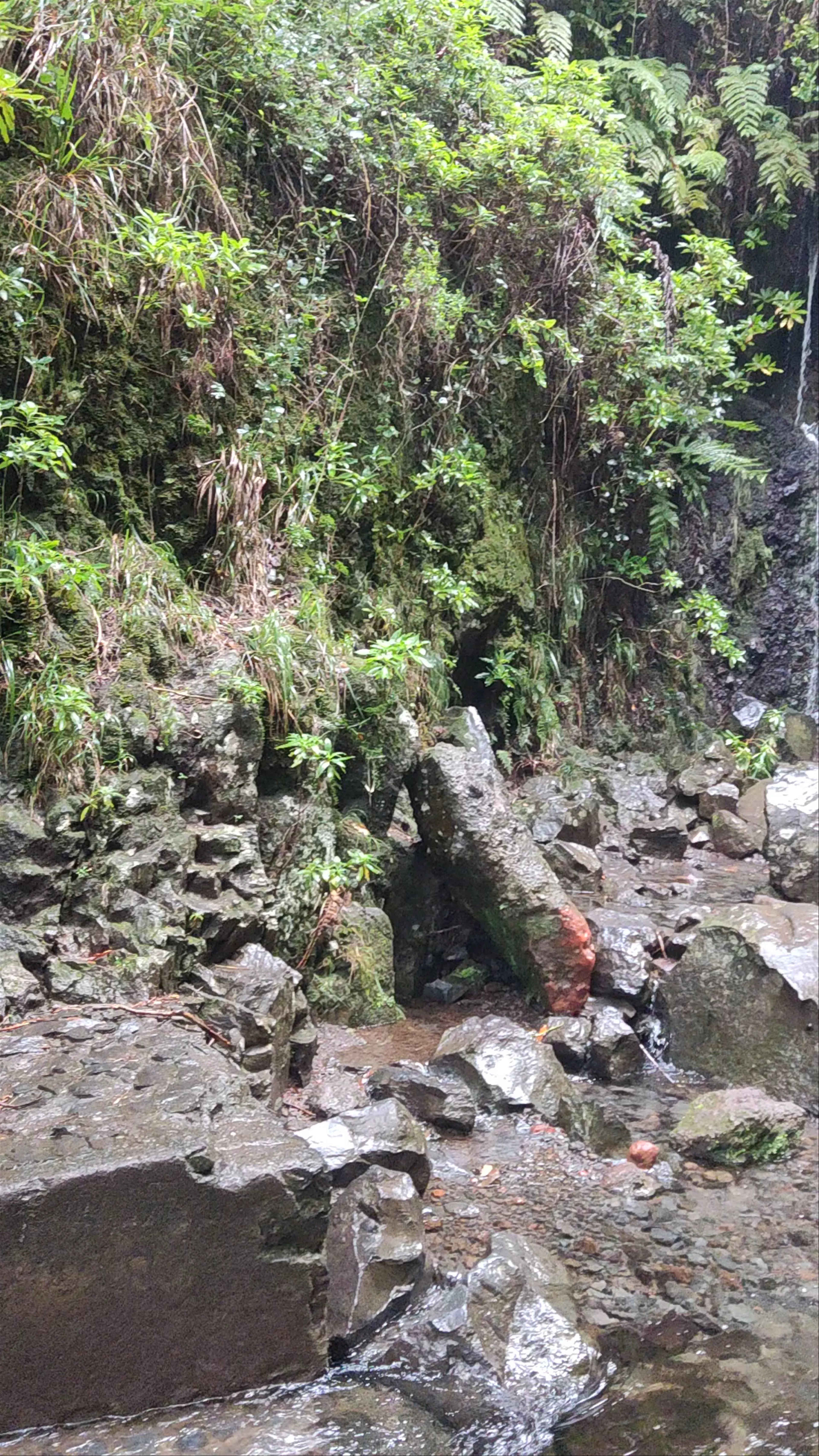25 Fontes Falls