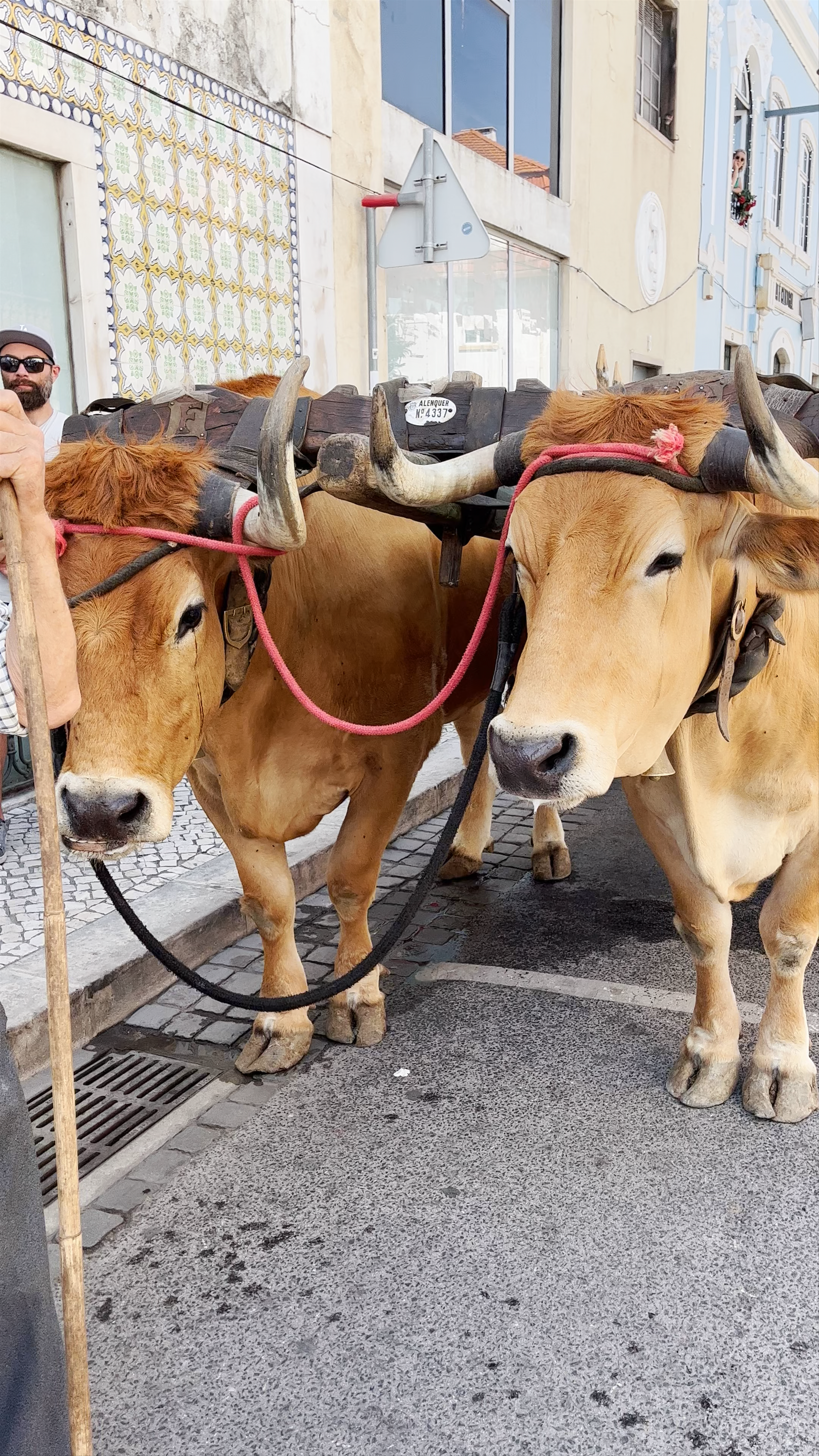 National Agricultural Fair