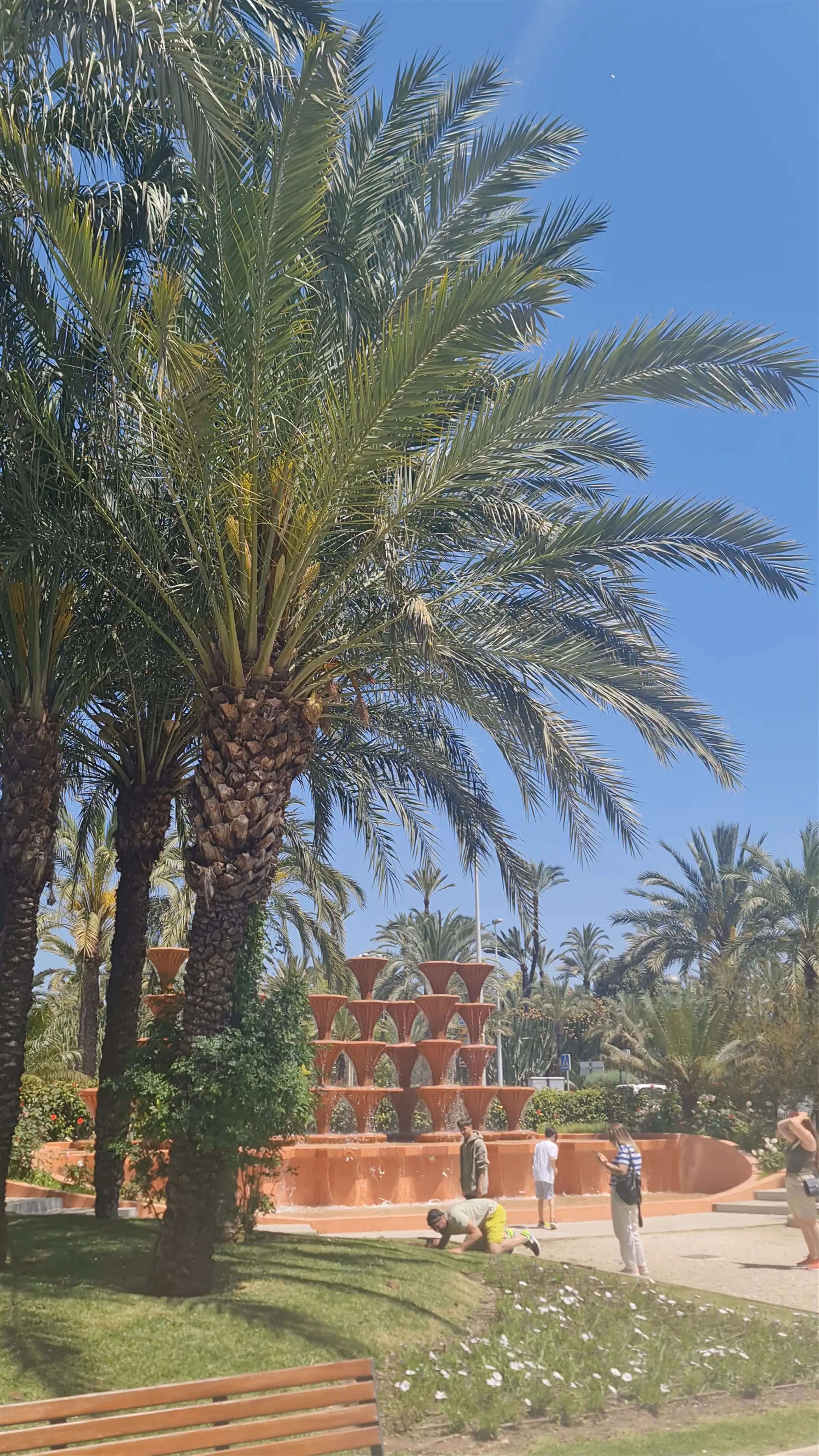 El Palmeral de Elche