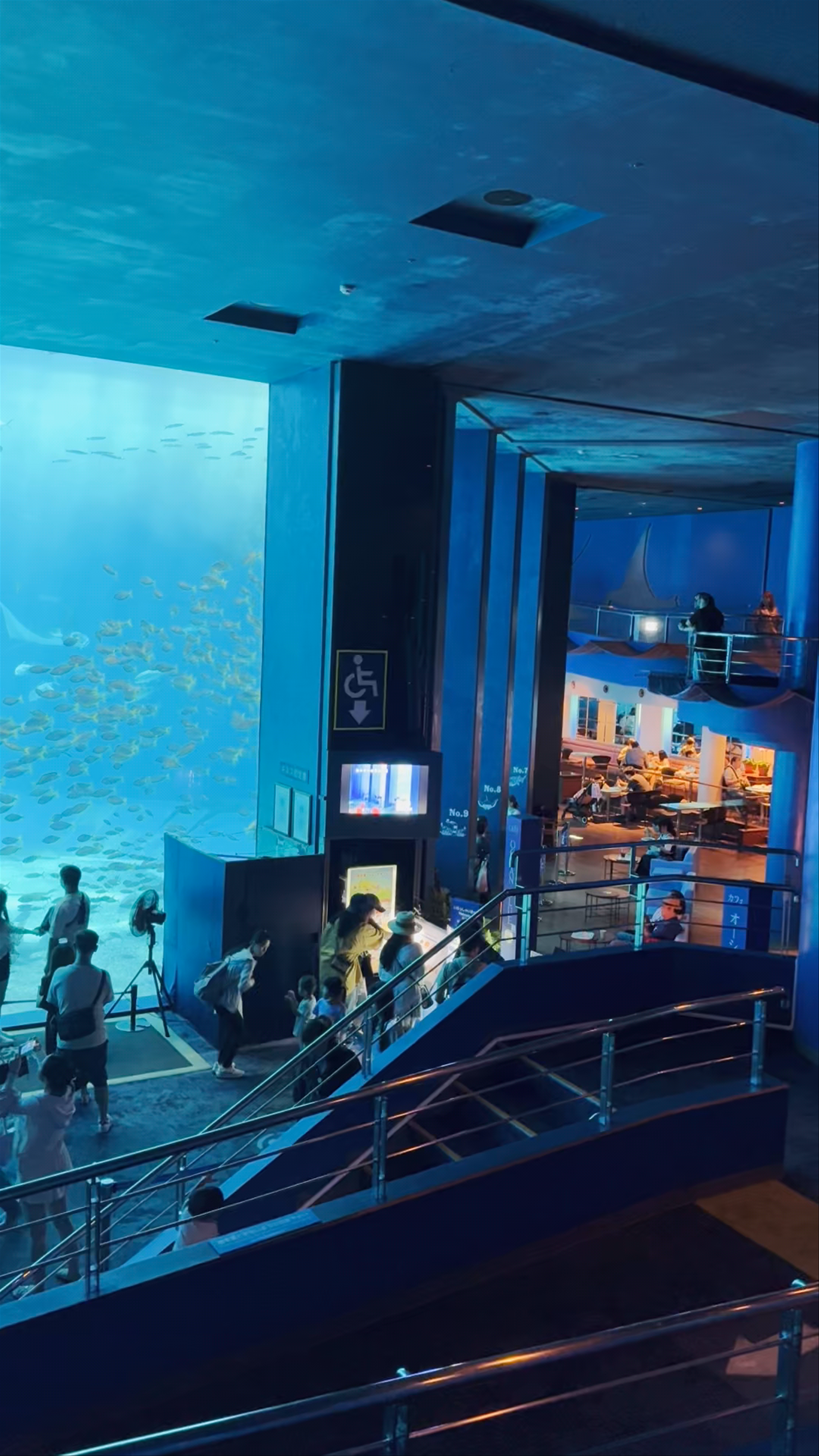 Okinawa Churaumi Aquarium: Immersive Underwater Wonder in Motobu