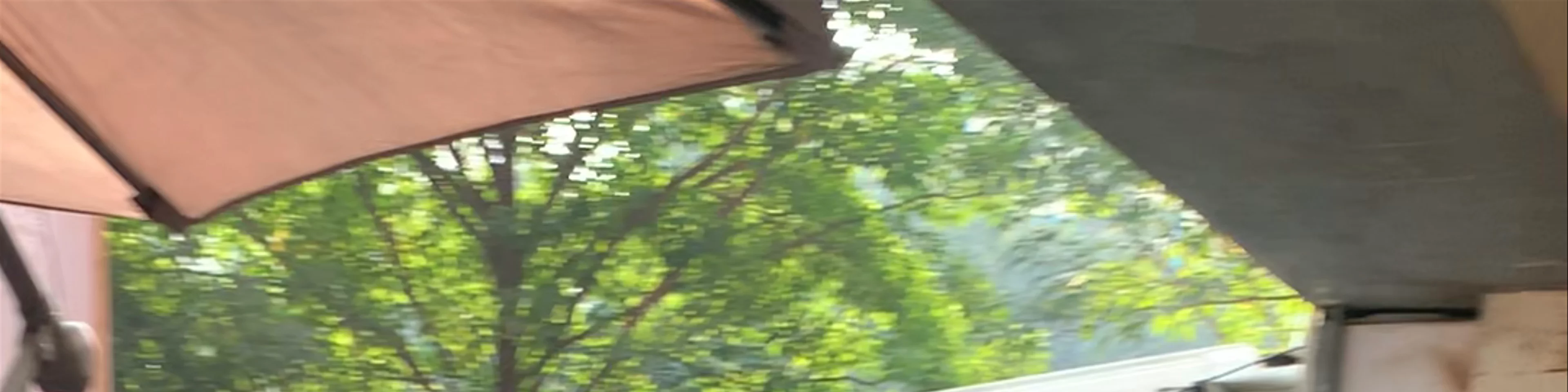 Suzette Bakery