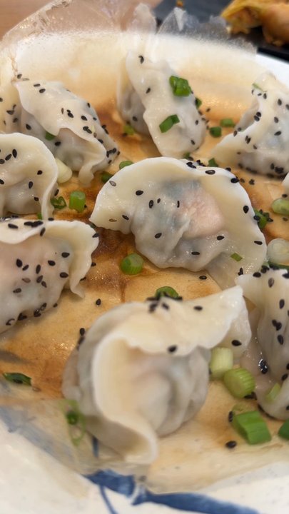 Dumplingholic House - Noodles Near Me - Katy, Texas