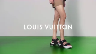 Louis Vuitton - © Artlist