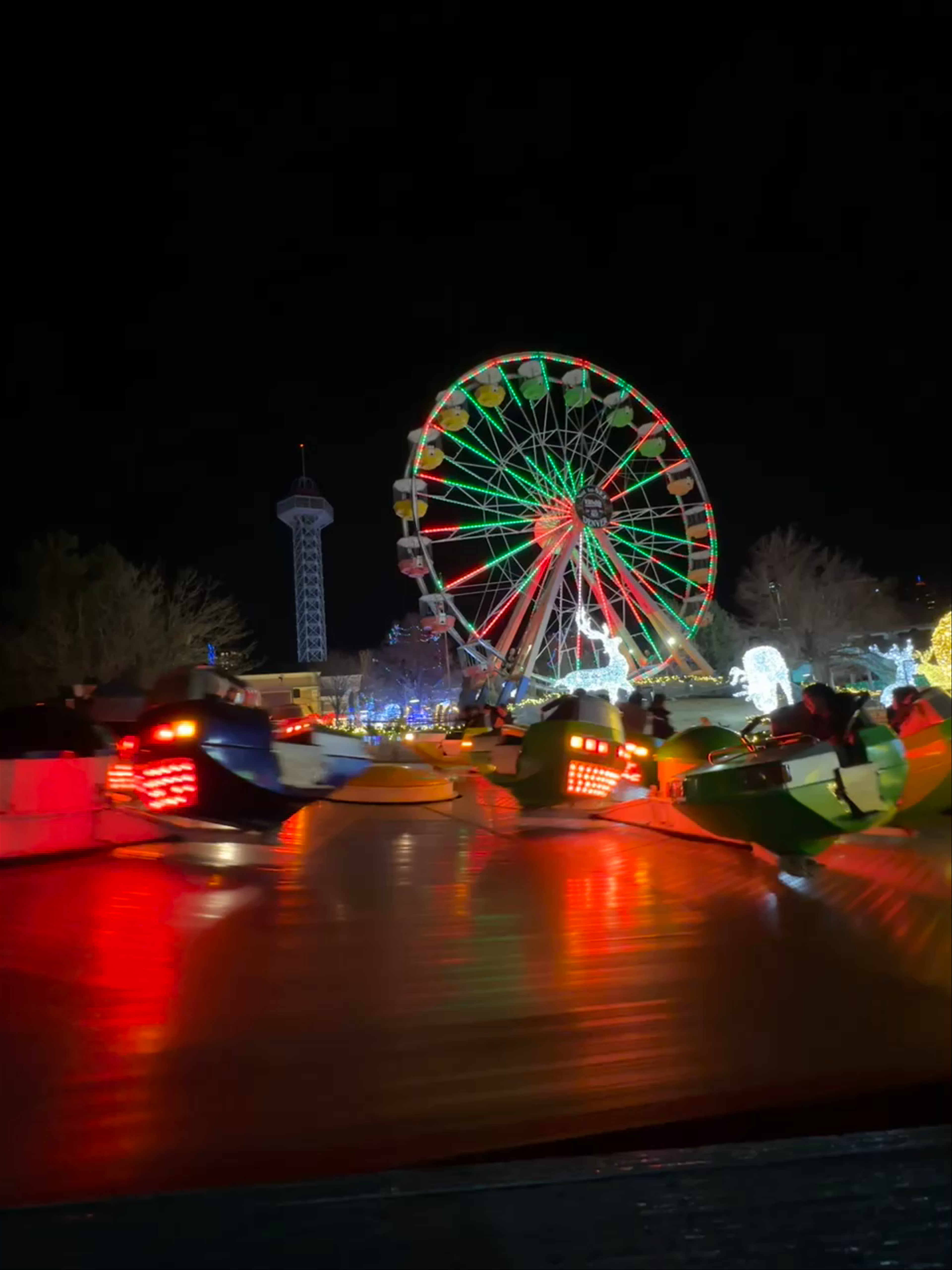Nighttime Thrills at Elitch Gardens Amusement Park, Denver