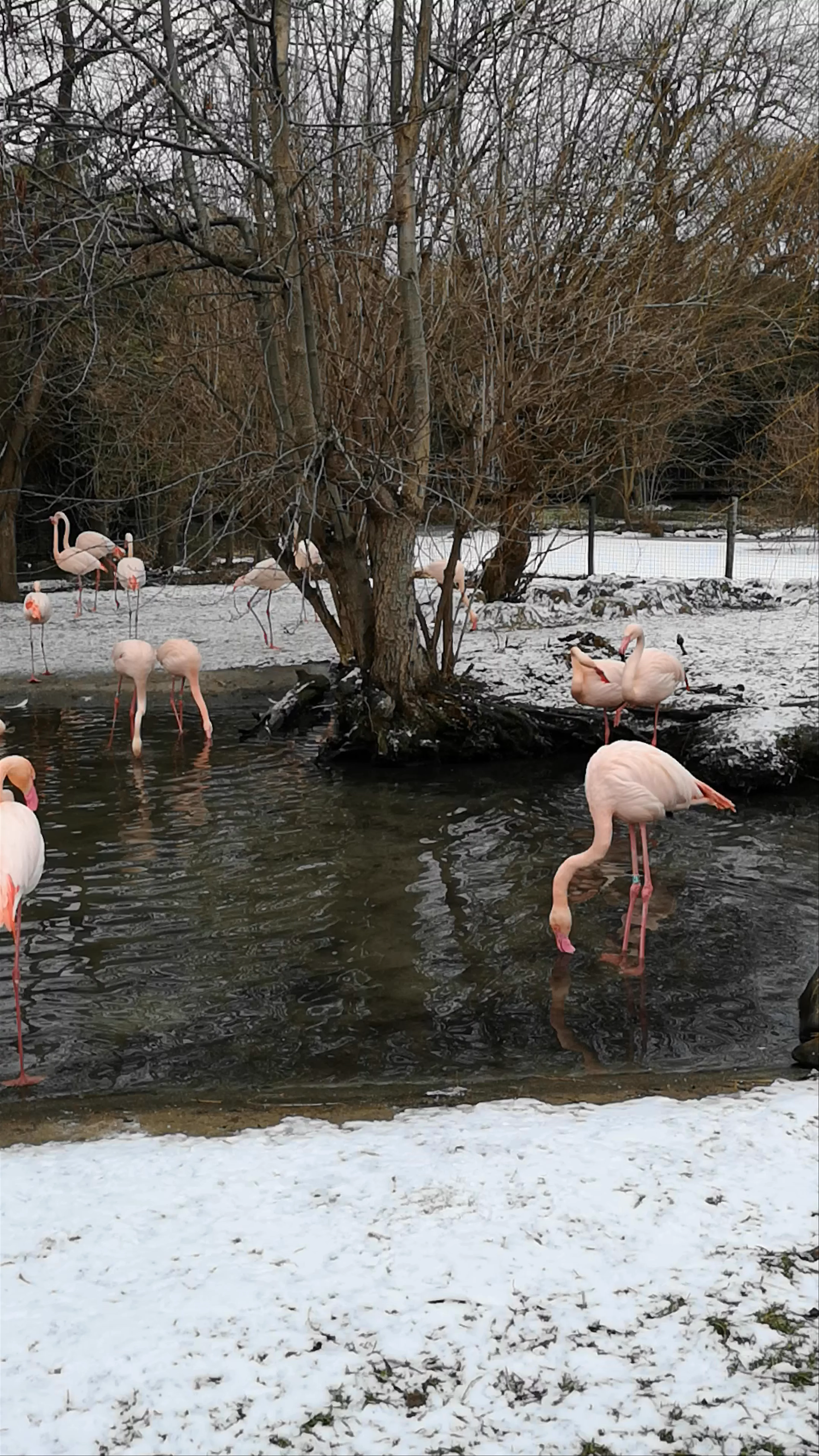 Prague Zoo