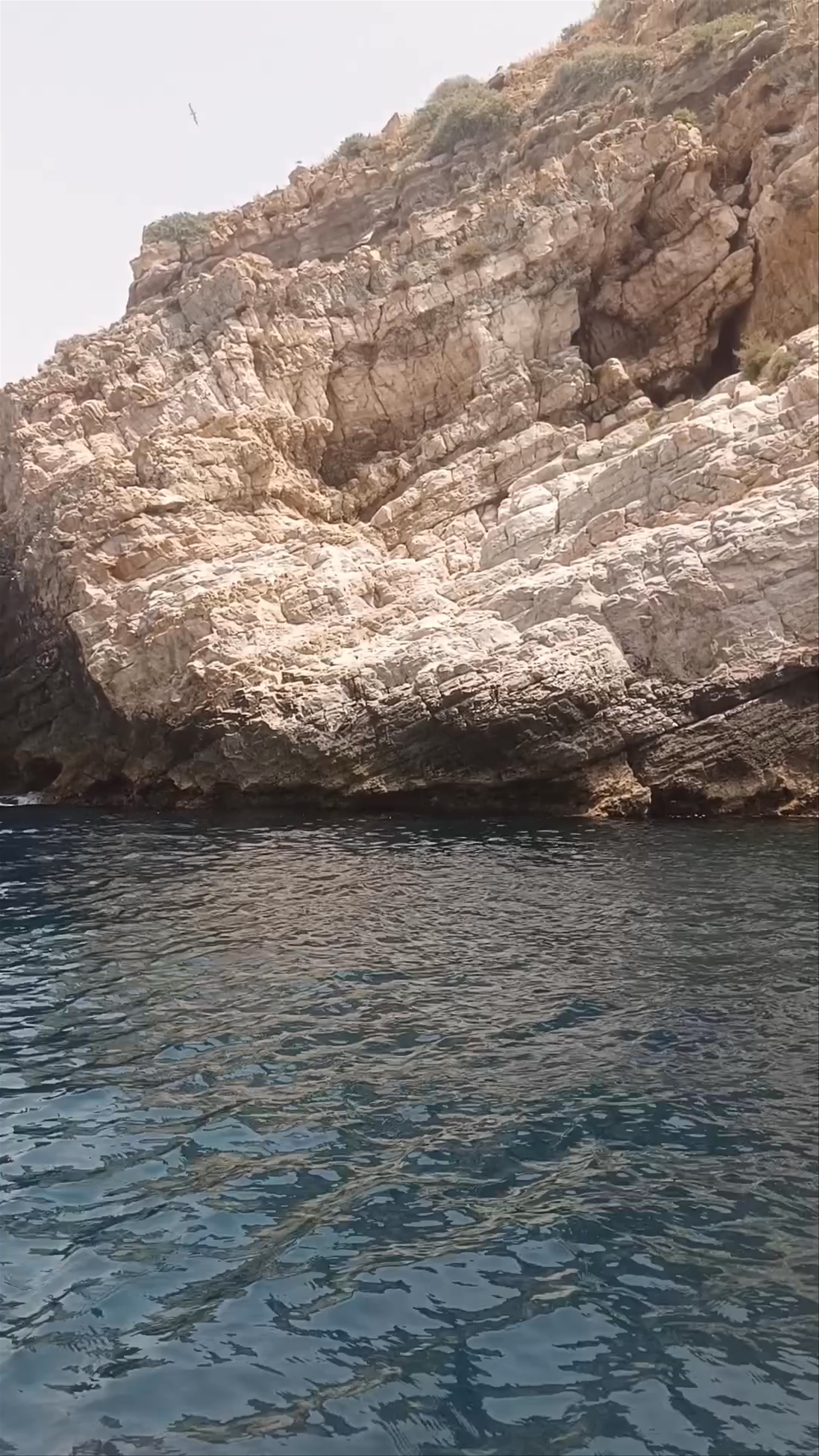 Isla de las Palomas