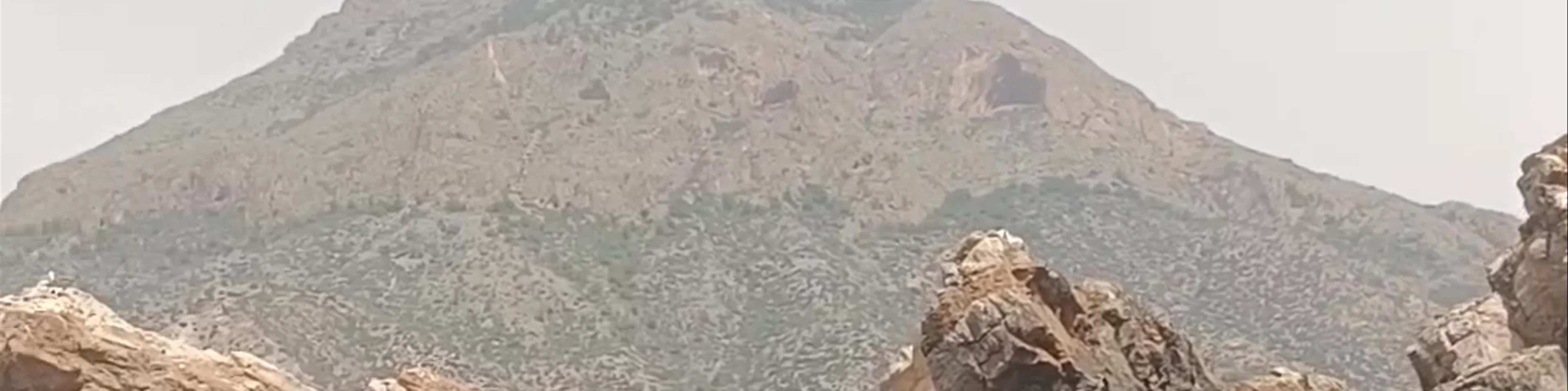 Isla de las Palomas