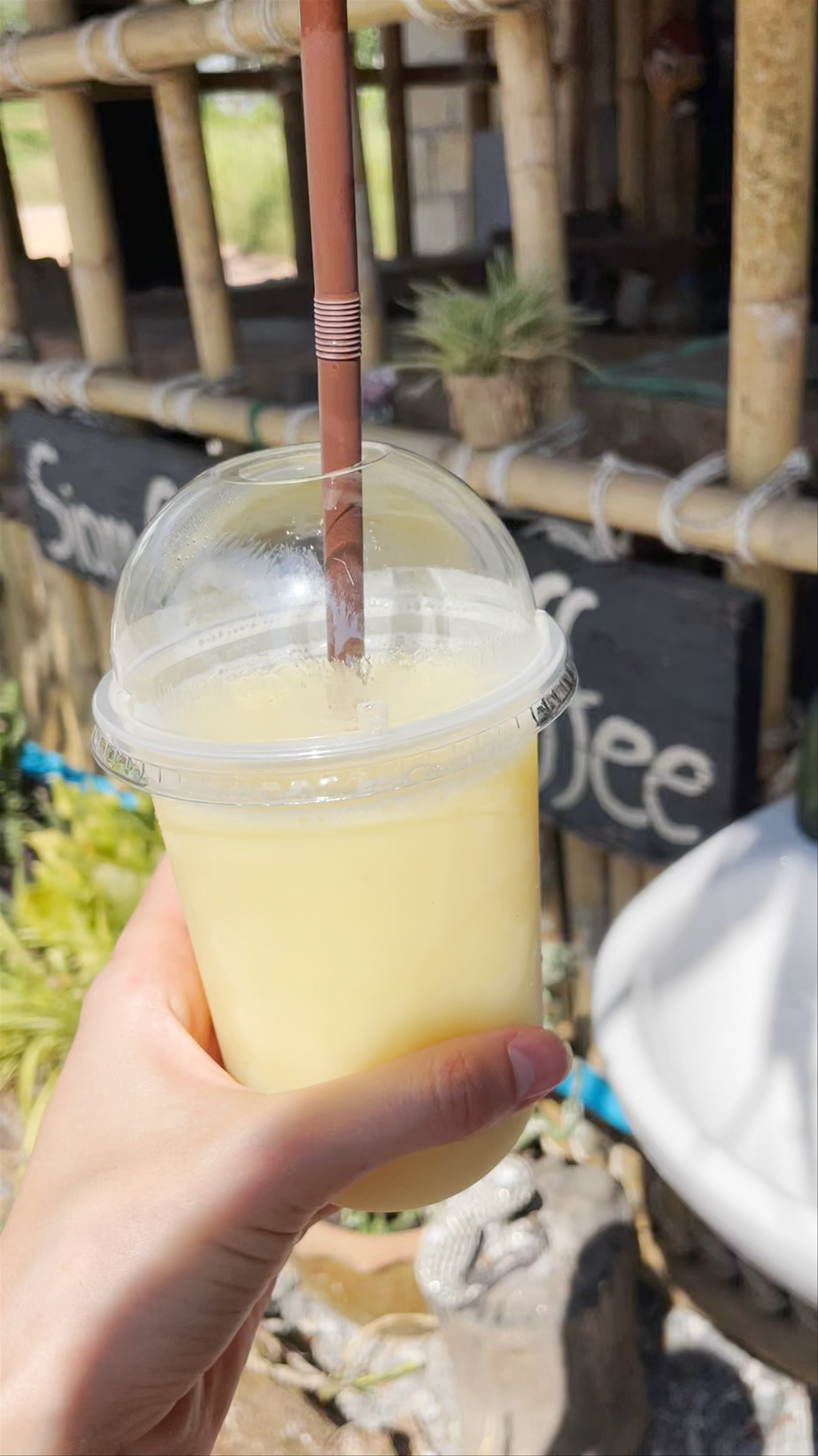 Refreshing Tropical Smoothie at Siam Corner Coffee in Phanom District, Thailand