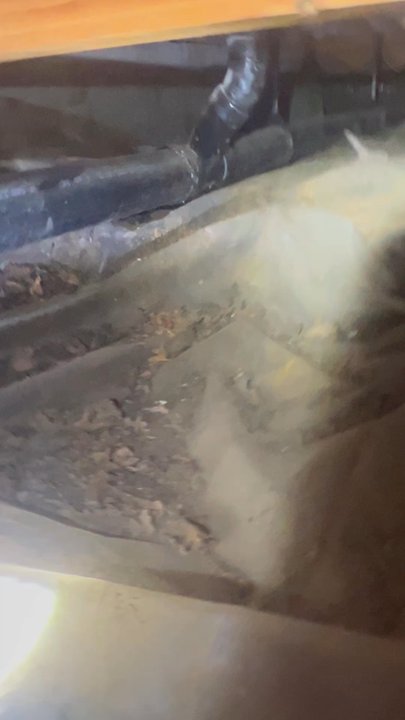 Top Grade Termite Control - Doing my inspection in my crawlspace - Pest Control Near Me