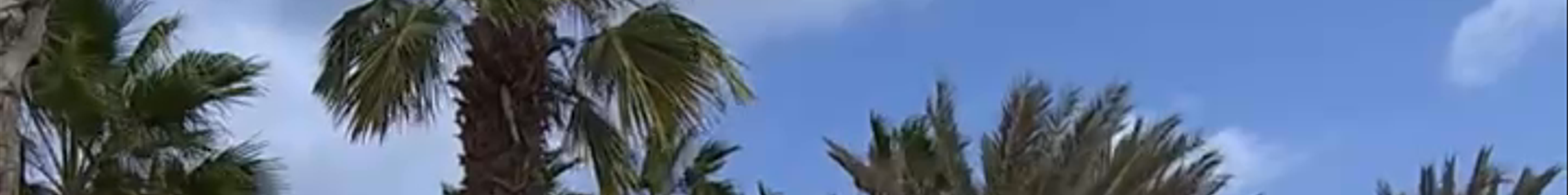 Tours & experiences in Cabo Verde