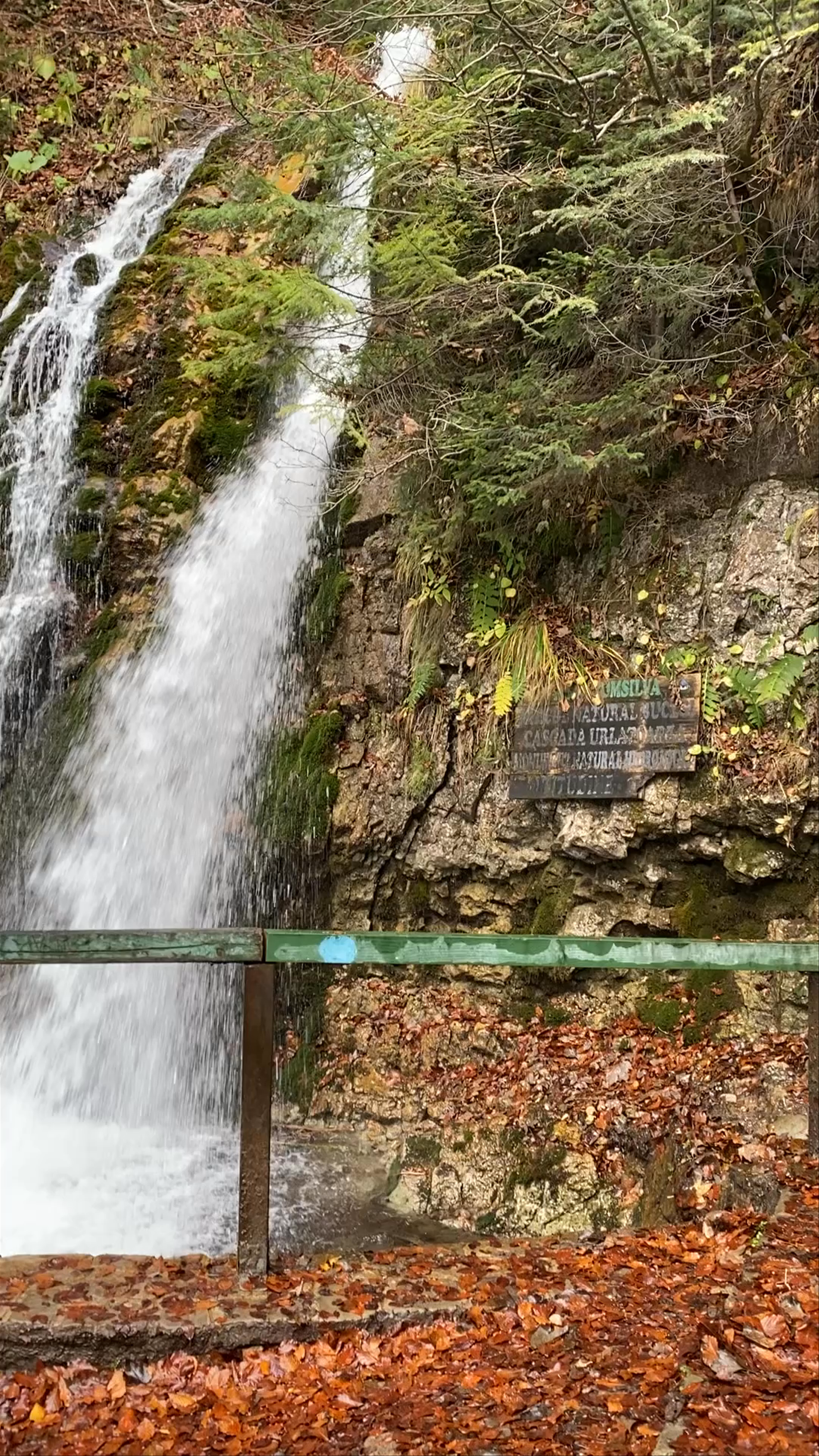 Parcul Natural "Bucegi"