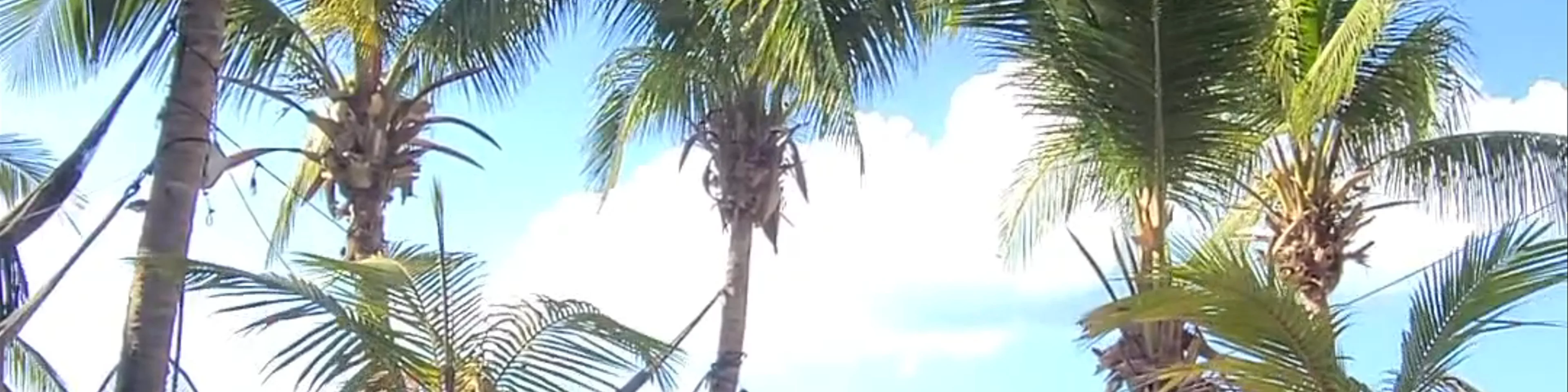 Holboxdream Beachfront Hotel