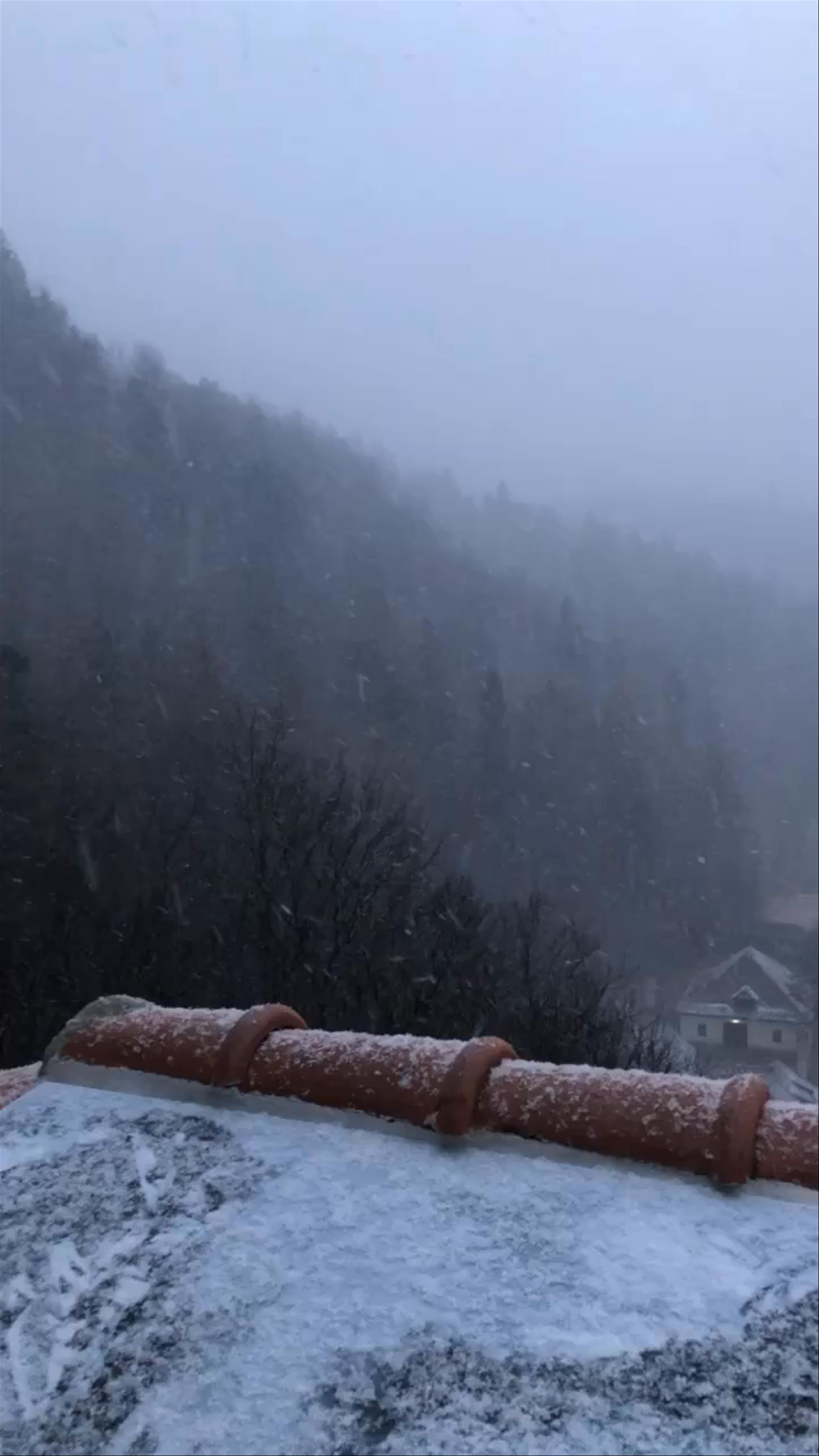 Snowfall at Bran Castle: A Magical Winter Moment in Transylvania