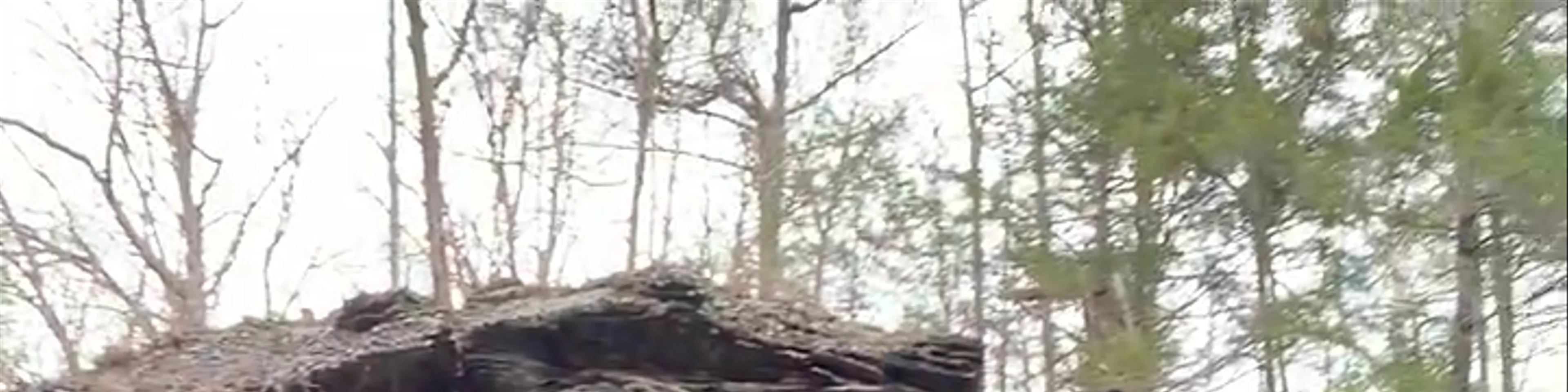 Mine Kill Falls