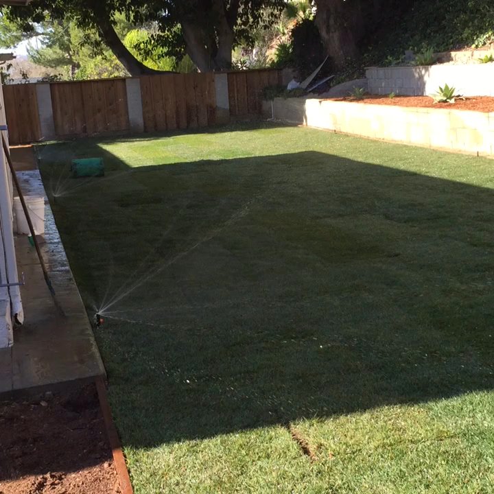 South Bay Roots - Landscaping Near Me