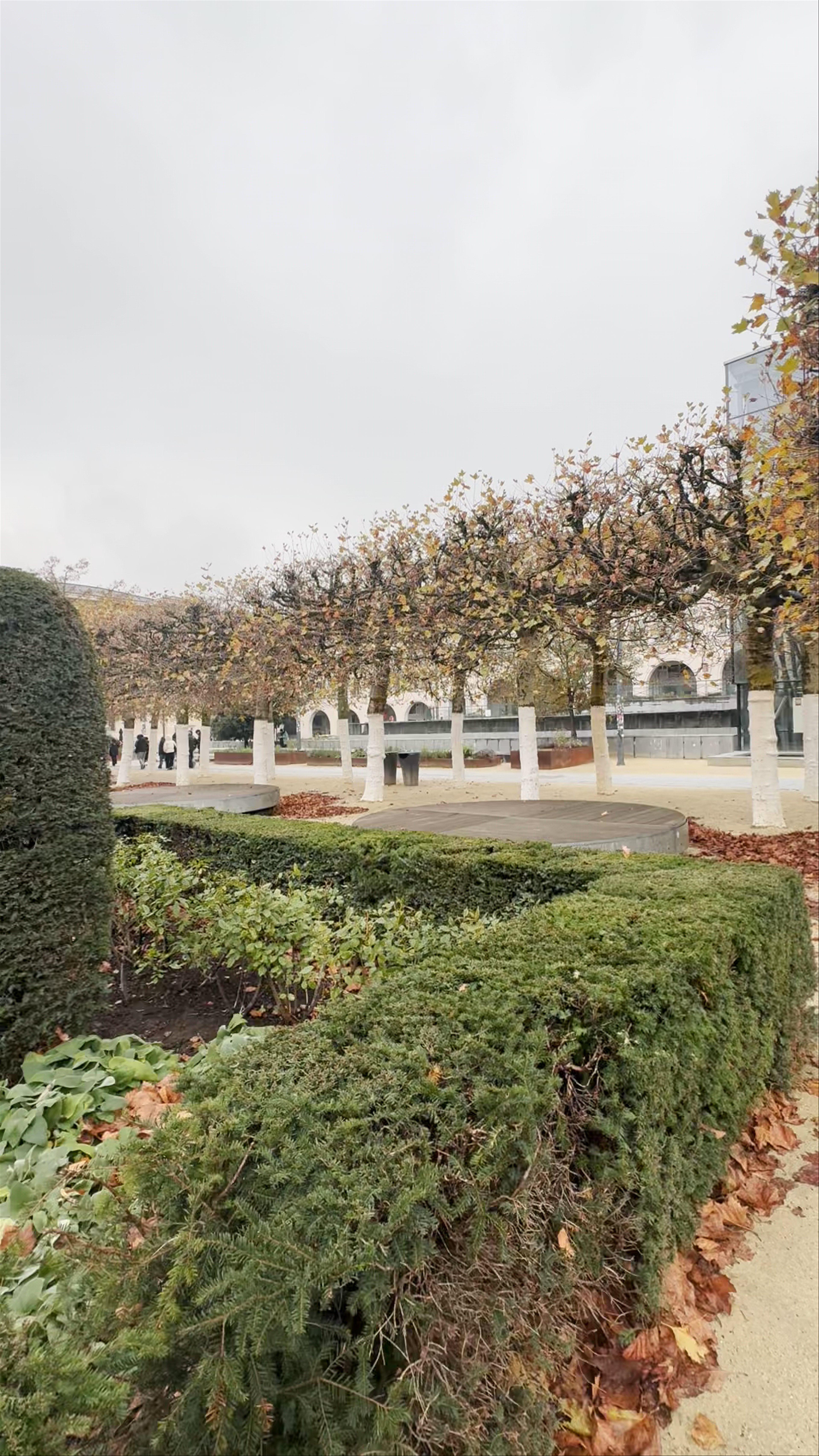 Mont des Arts: Tranquil Green Oasis and Historic Beauty in Brussels