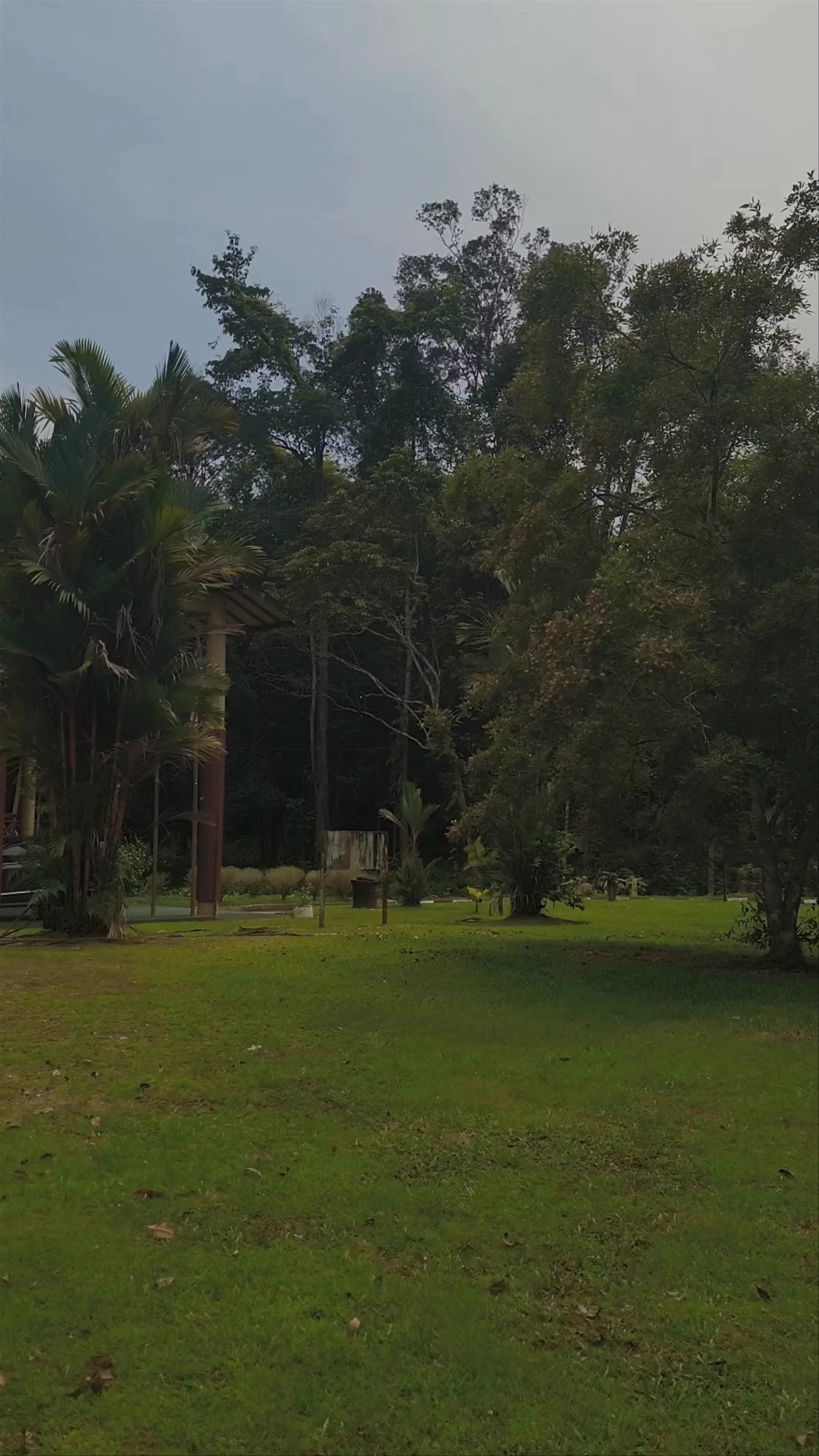 Matang Wildlife Homestay