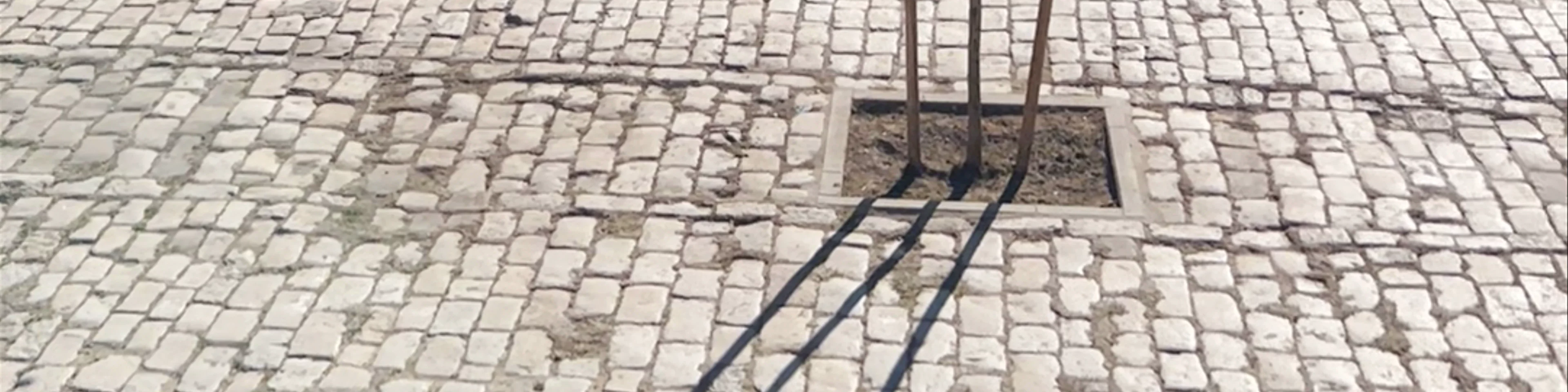 Puente de San Telmo