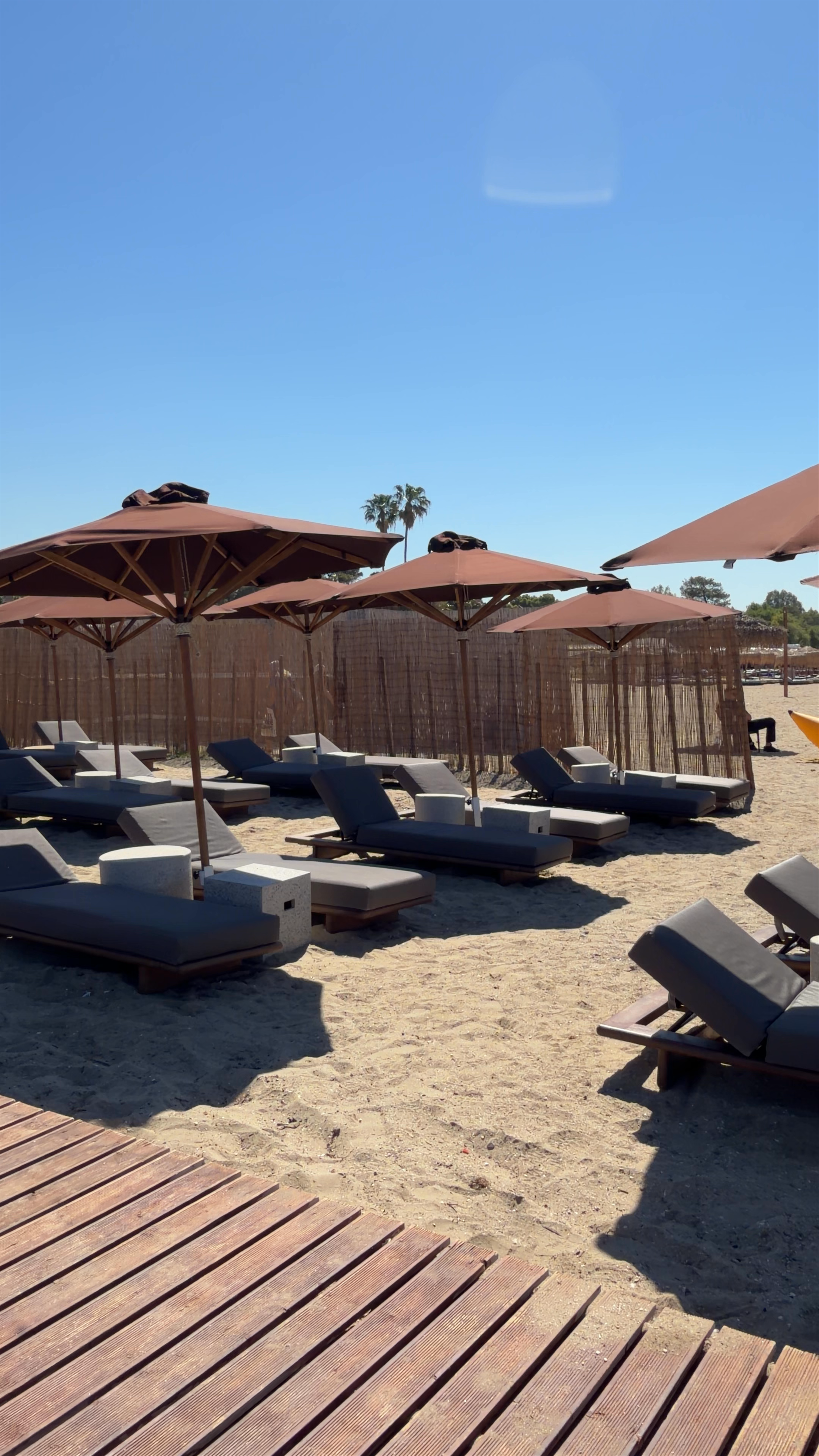 The C Beach Restaurant