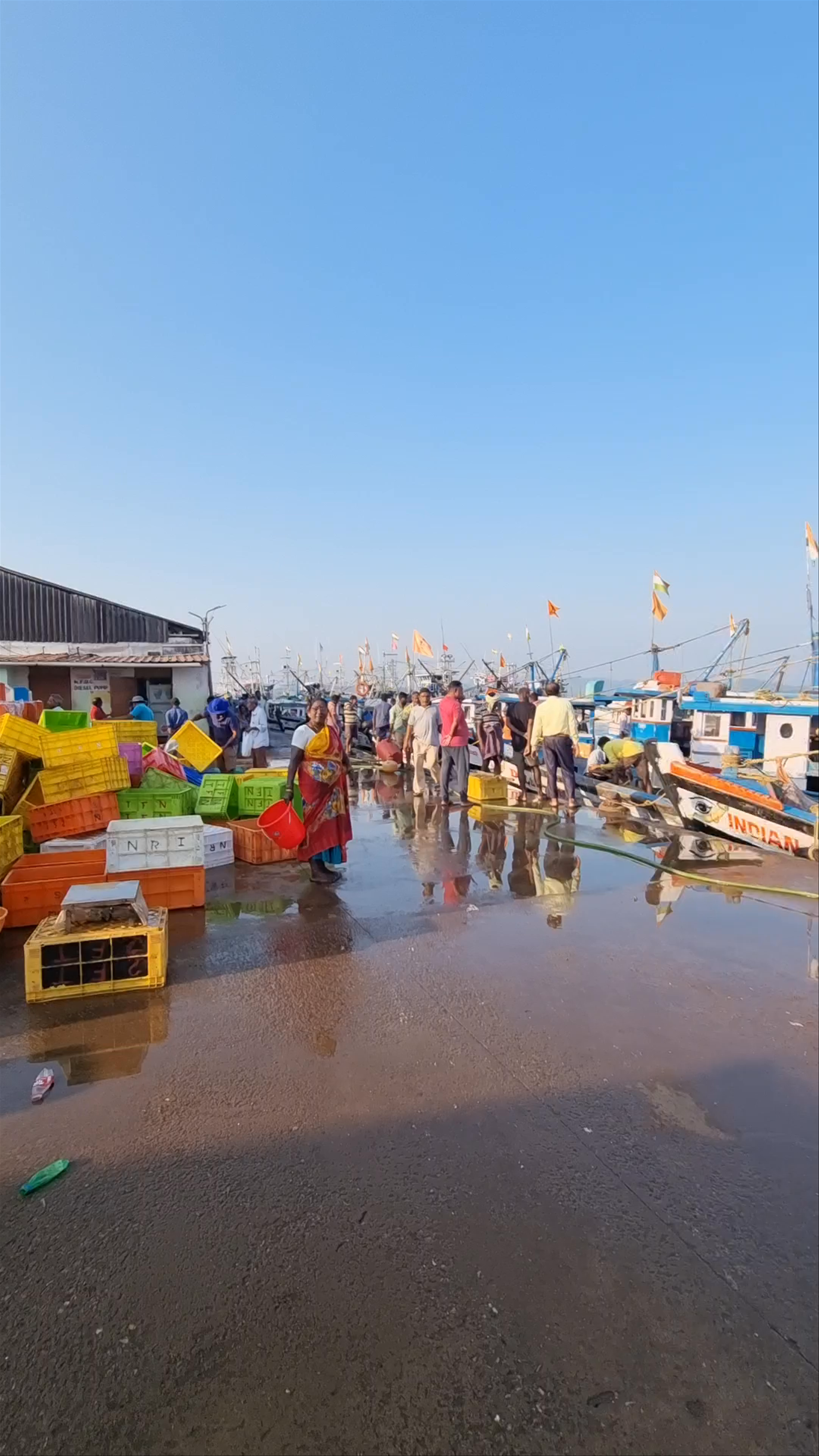 Tadadi Fishing Harbour: Vibrant Coastal Life in Karnataka, India