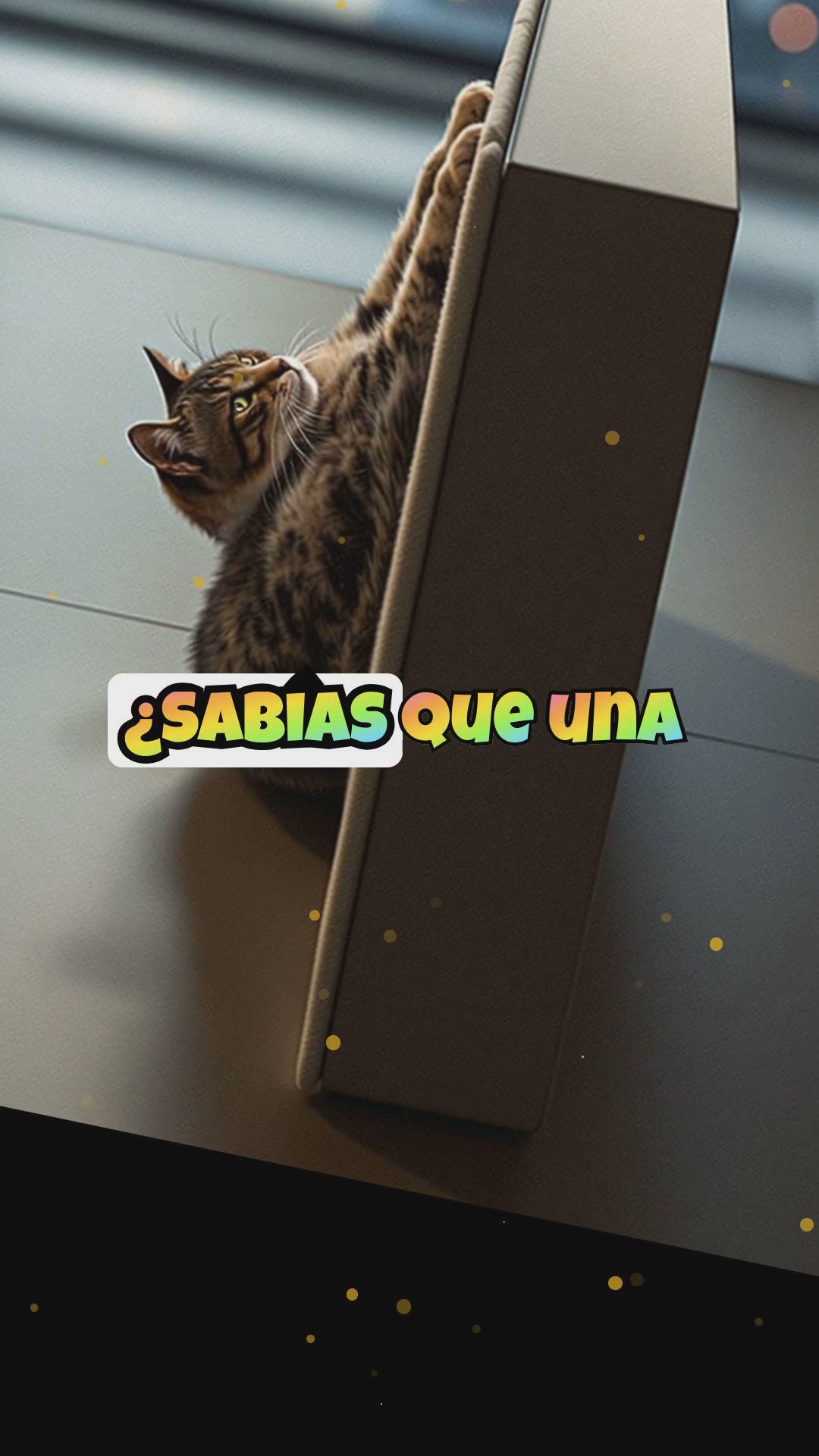 Camas y accesorios que ayudan a perros y gatos a convivir en paz