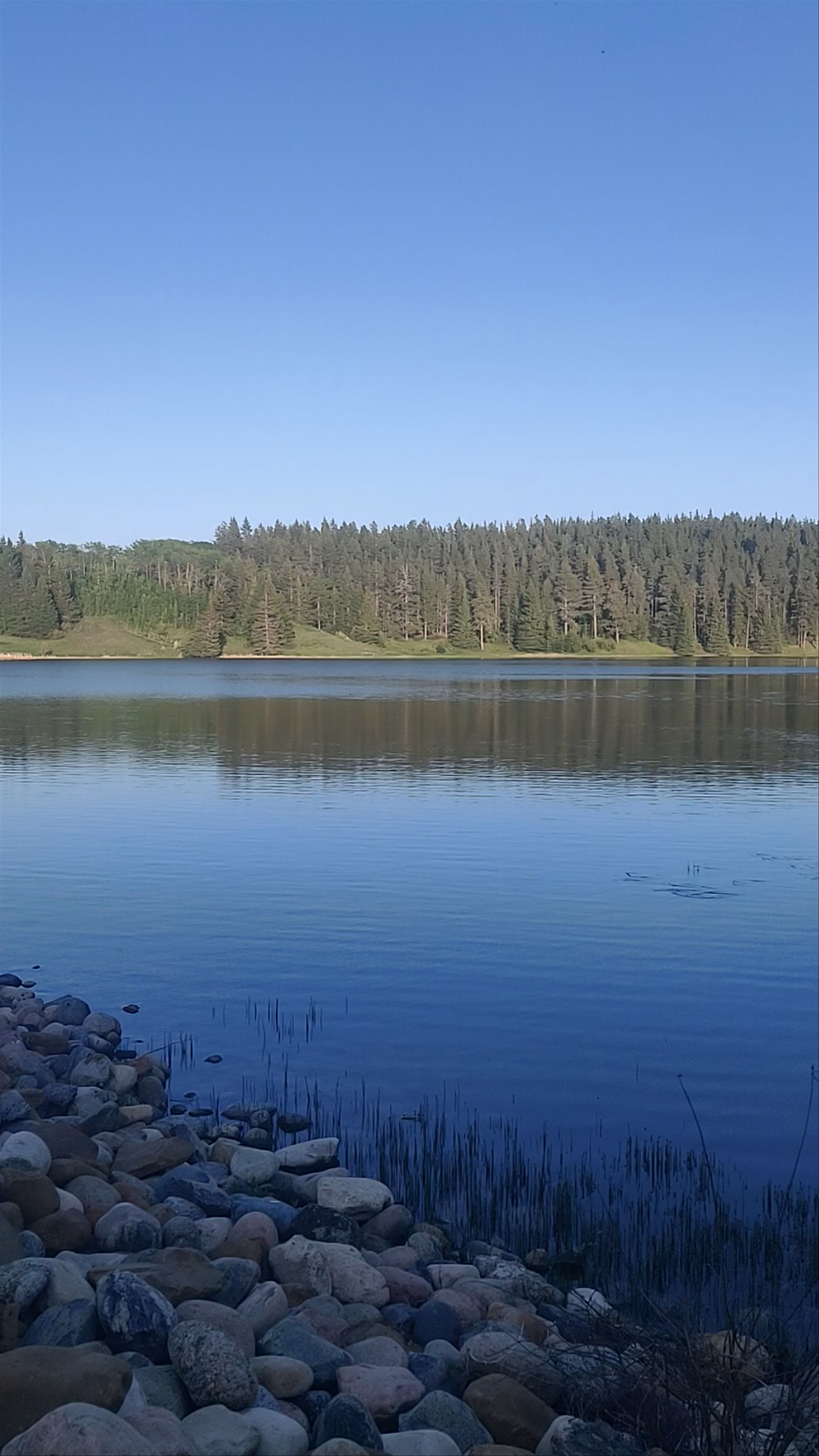 Spruce Coulee Reservoir