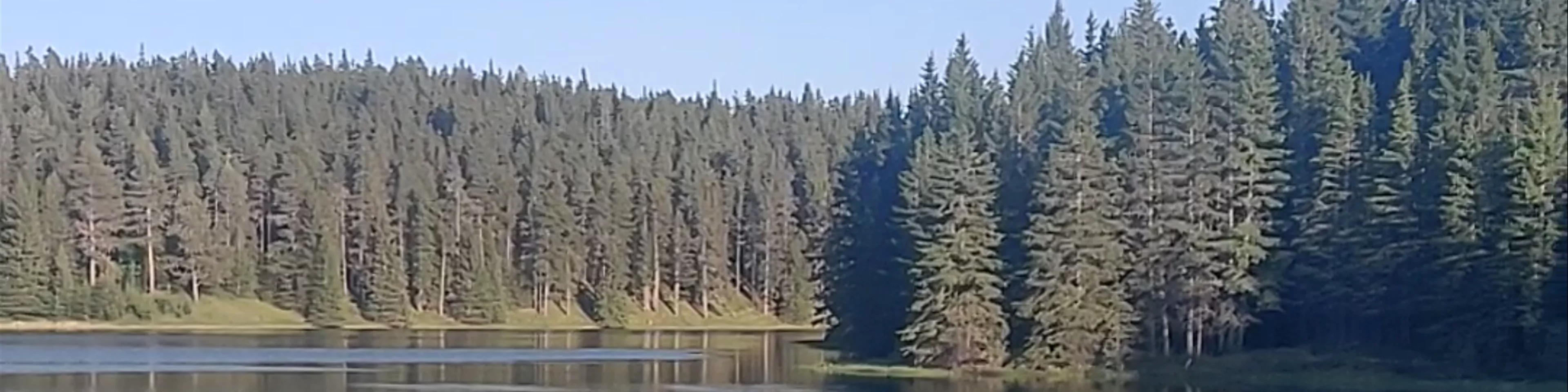 Spruce Coulee Reservoir