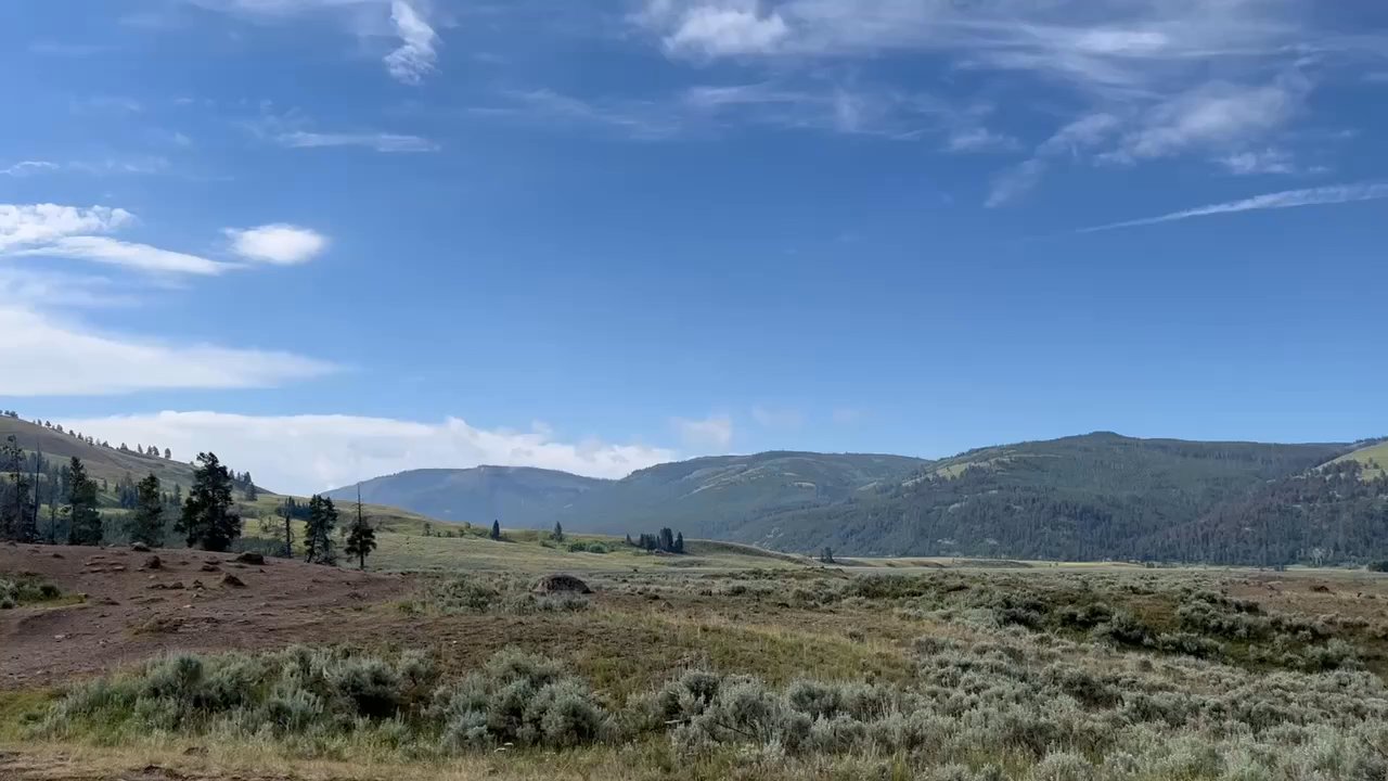 Wilderness Pack Trips - The beginning (and the paint is my horse Tex who I've known for years) - Tours Near Me - Emigrant, Montana