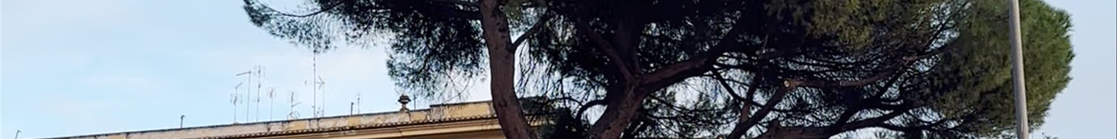 Tours & experiences in Tivoli
