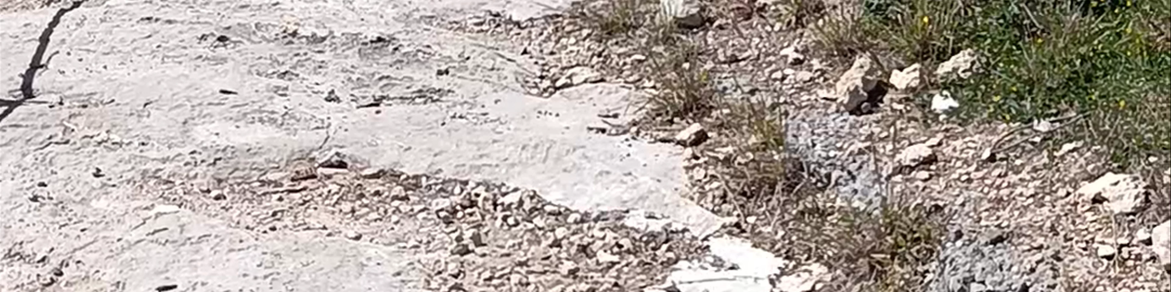 Roca Foradada