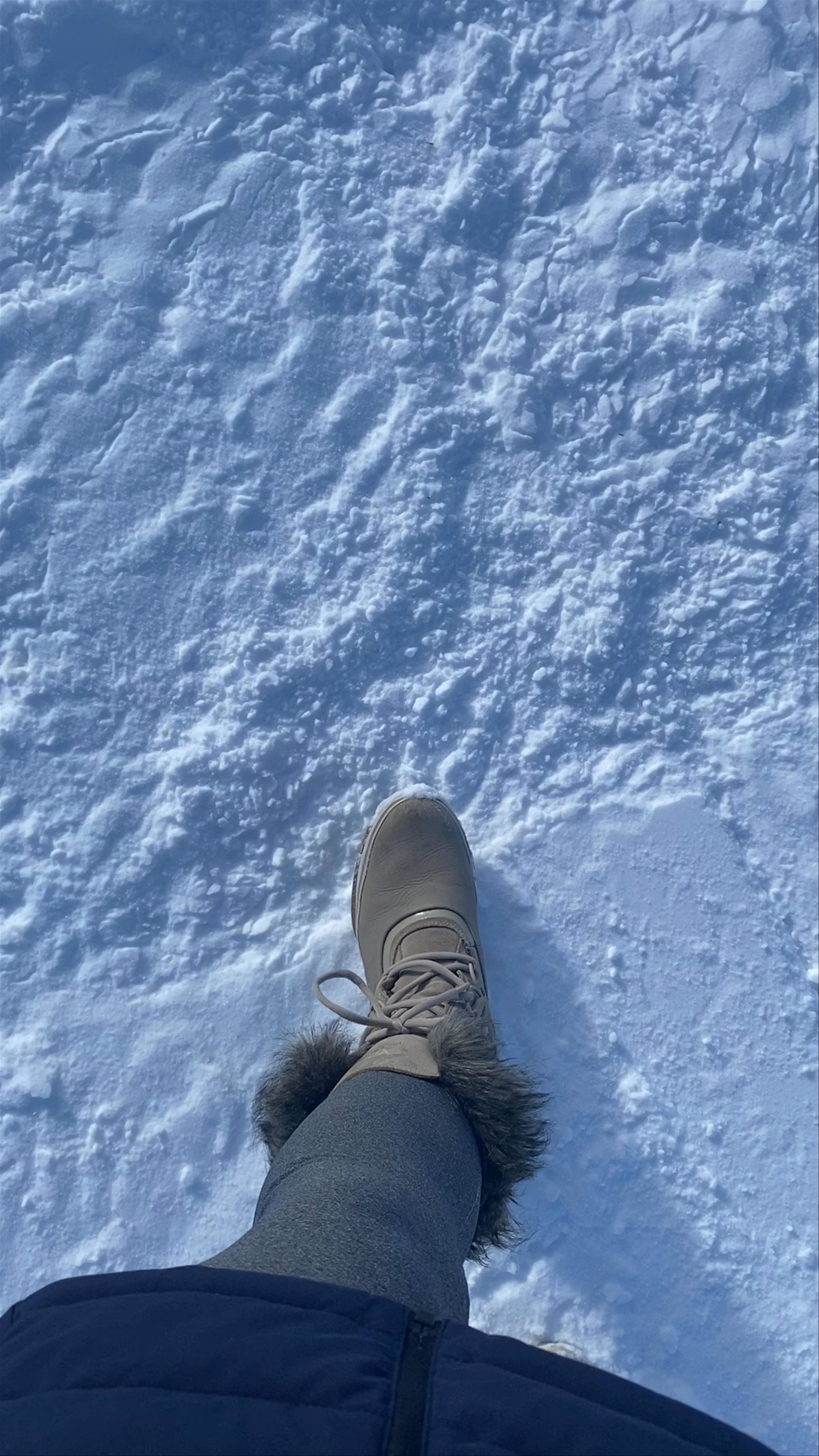 Winter Adventures at Alpine Meadows Ski Resort, California
