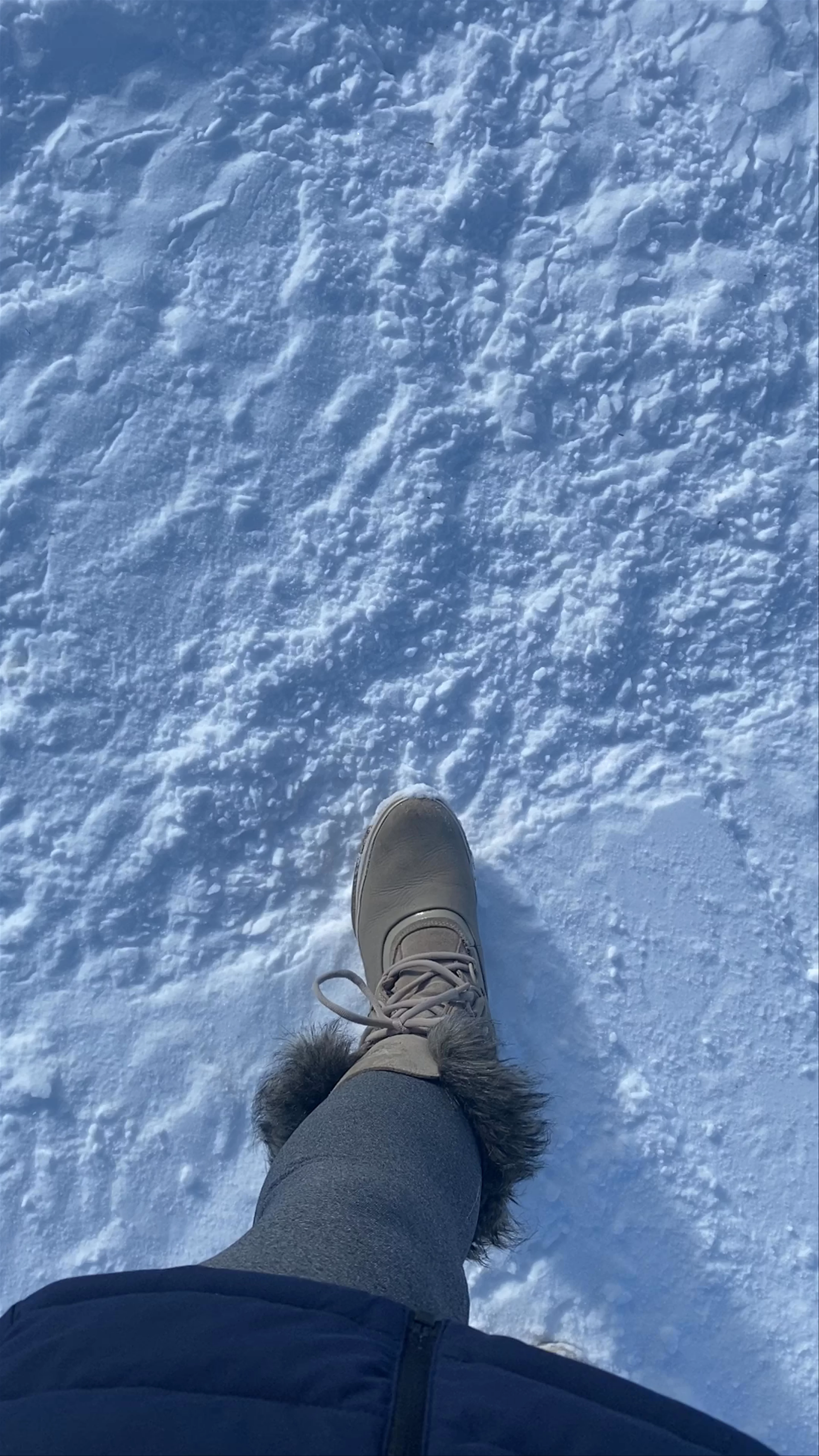 Alpine Meadows Ski Resort