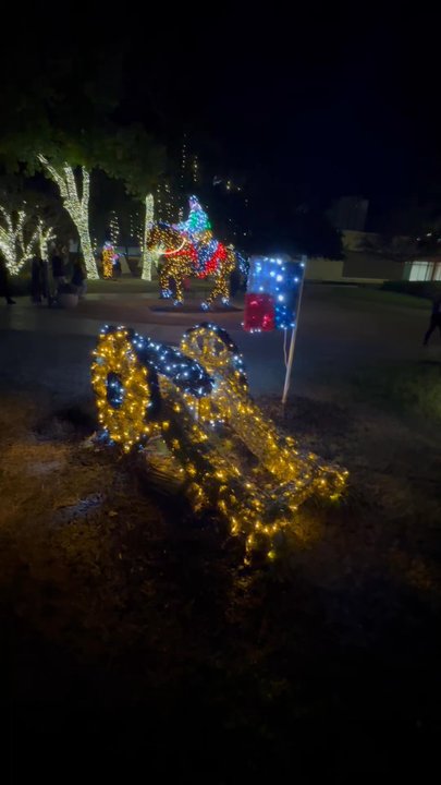 Alamo Lights - Christmas Trees Near Me - San Antonio, Texas