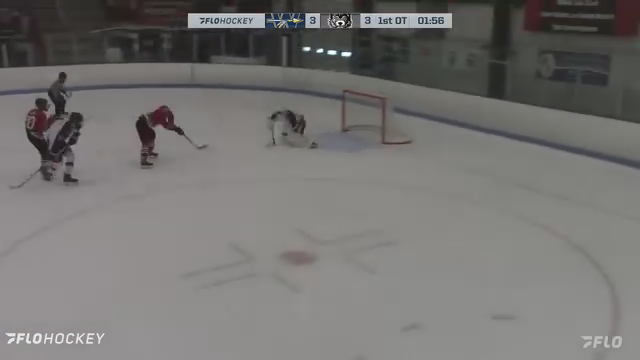 New England Wolves 2023/2024