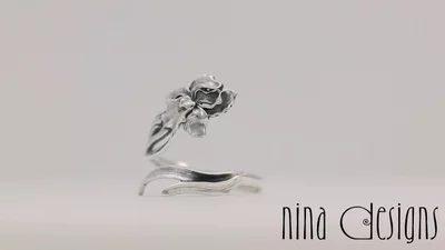 Preview image for video