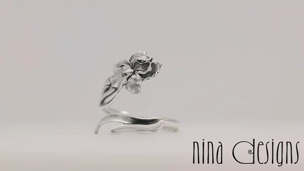 Preview image for video