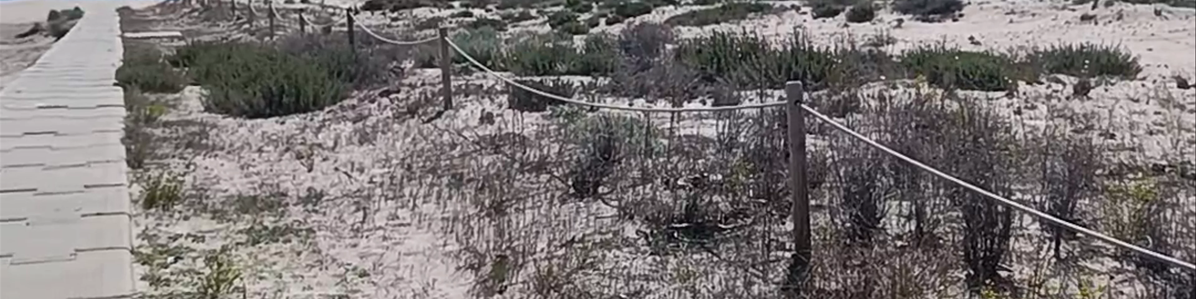 Playa de la Paella
