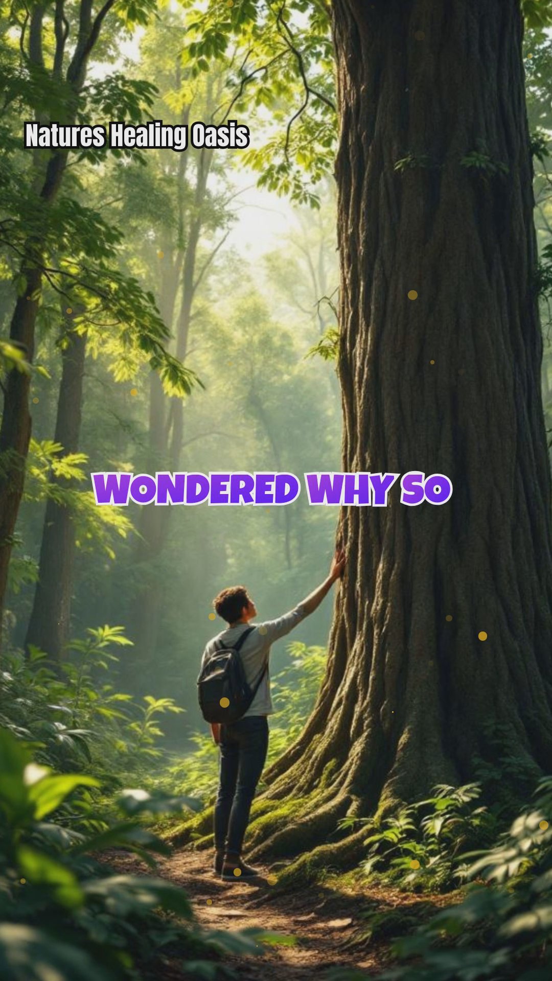 Tree Energy: The Secret Power Behind Environmental Activism