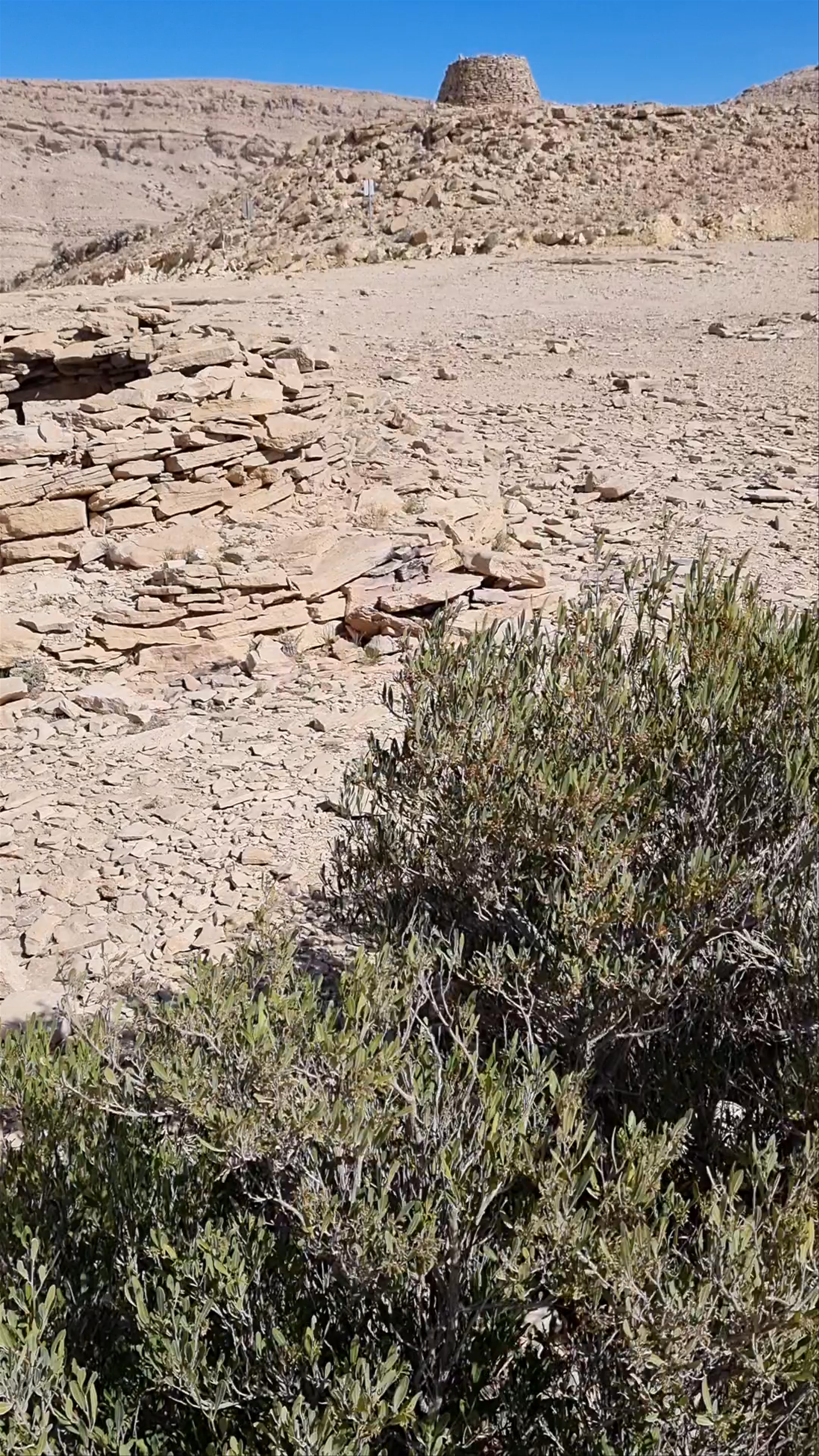 Jaylah Beehive Tombs