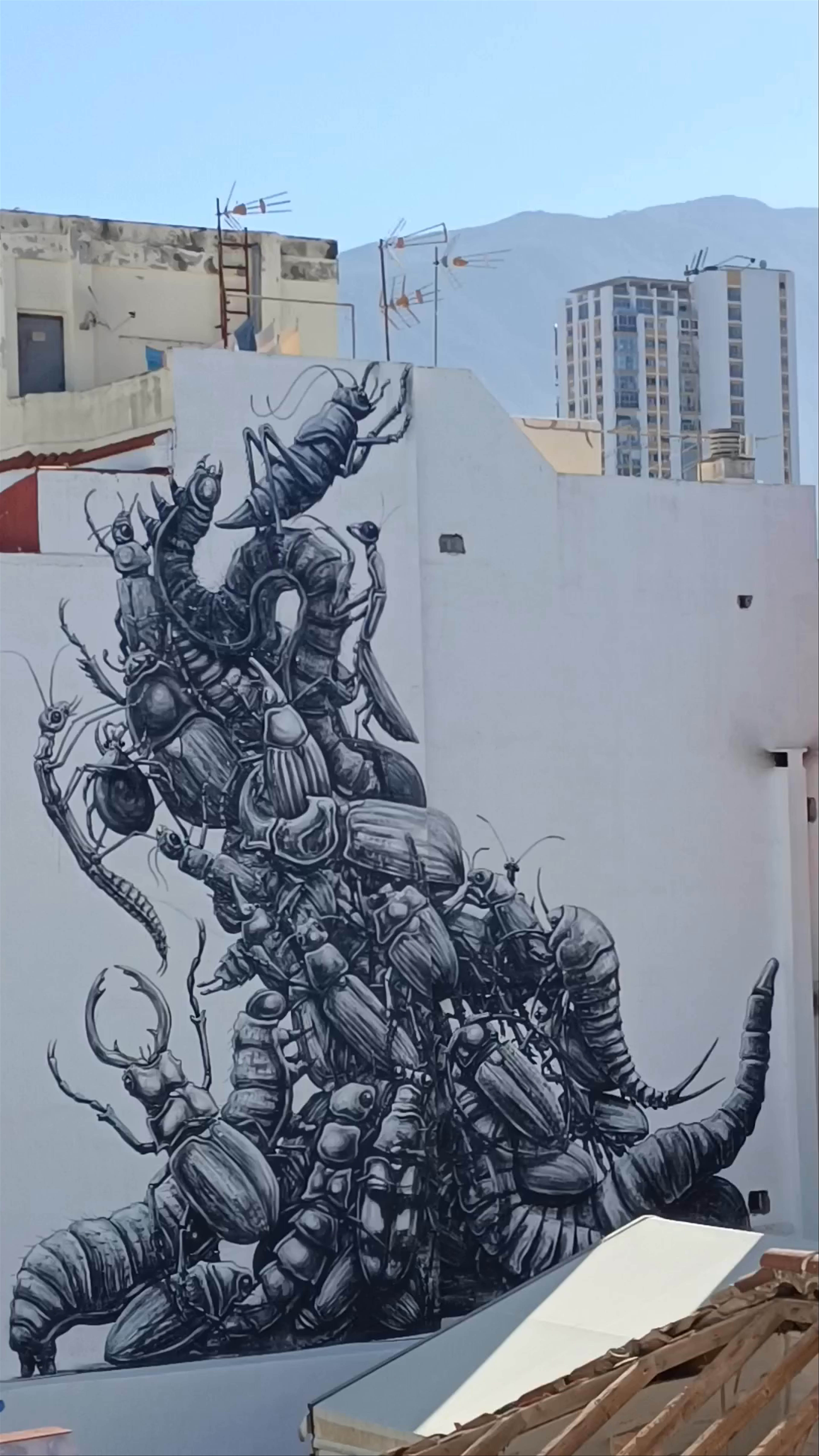MURAL: Belgica: sin título. Roa