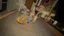 Small image 9