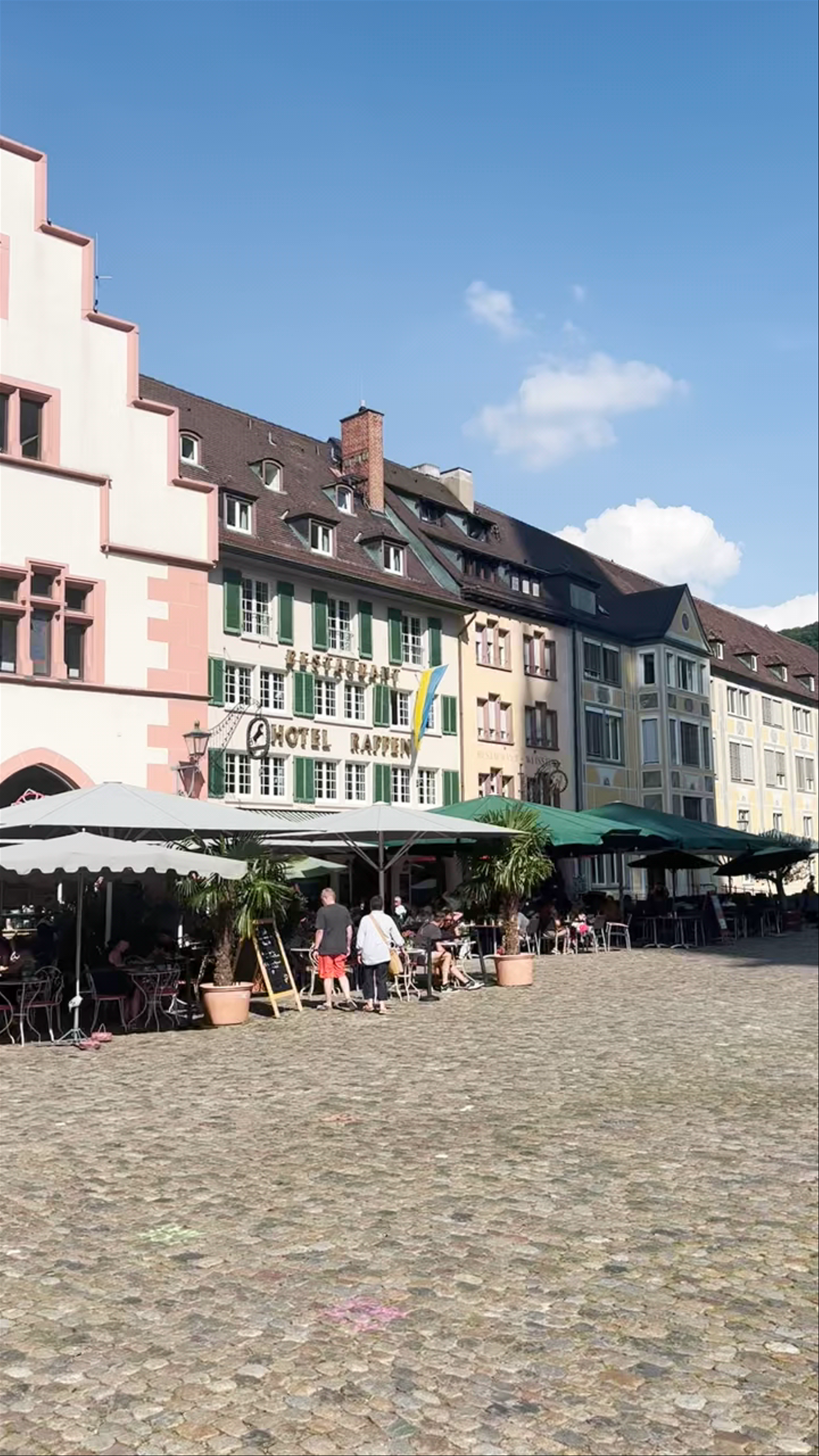 Freiburg im Breisgau Hauptbahnhof Stadtbahnbrücke