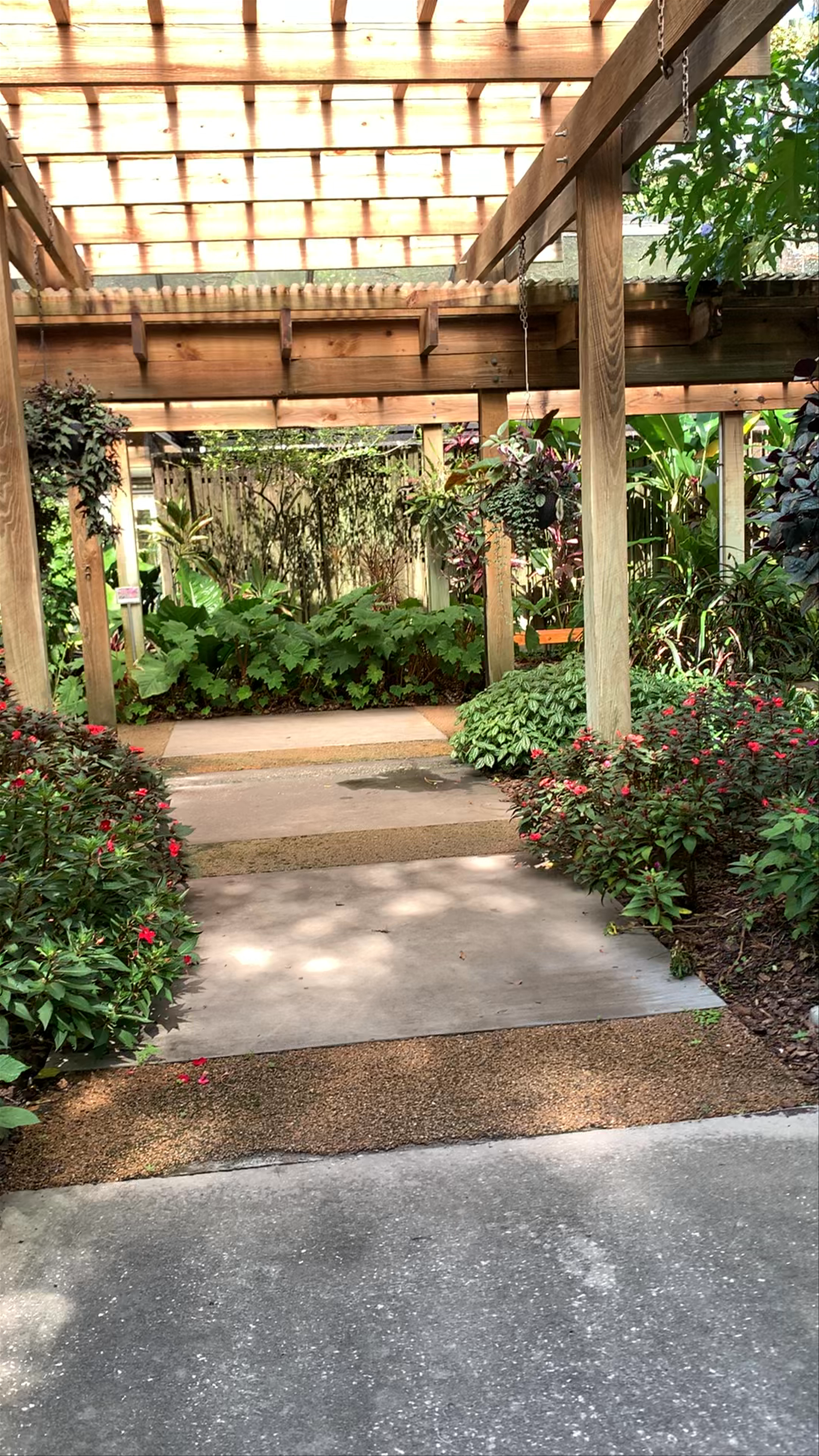 Tranquil Walk Through Eureka Springs Park in Tampa