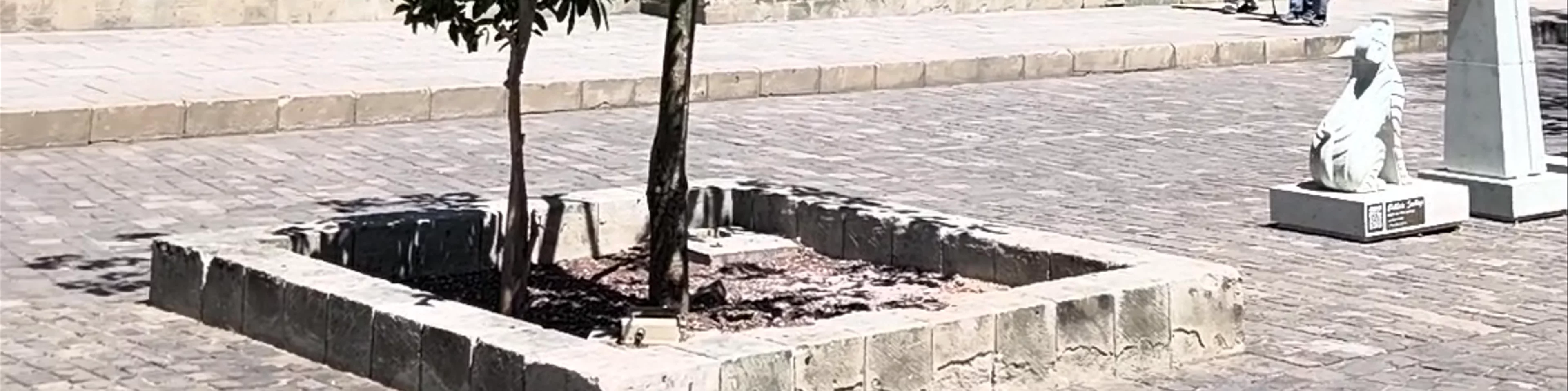 Plaza Santo Domingo