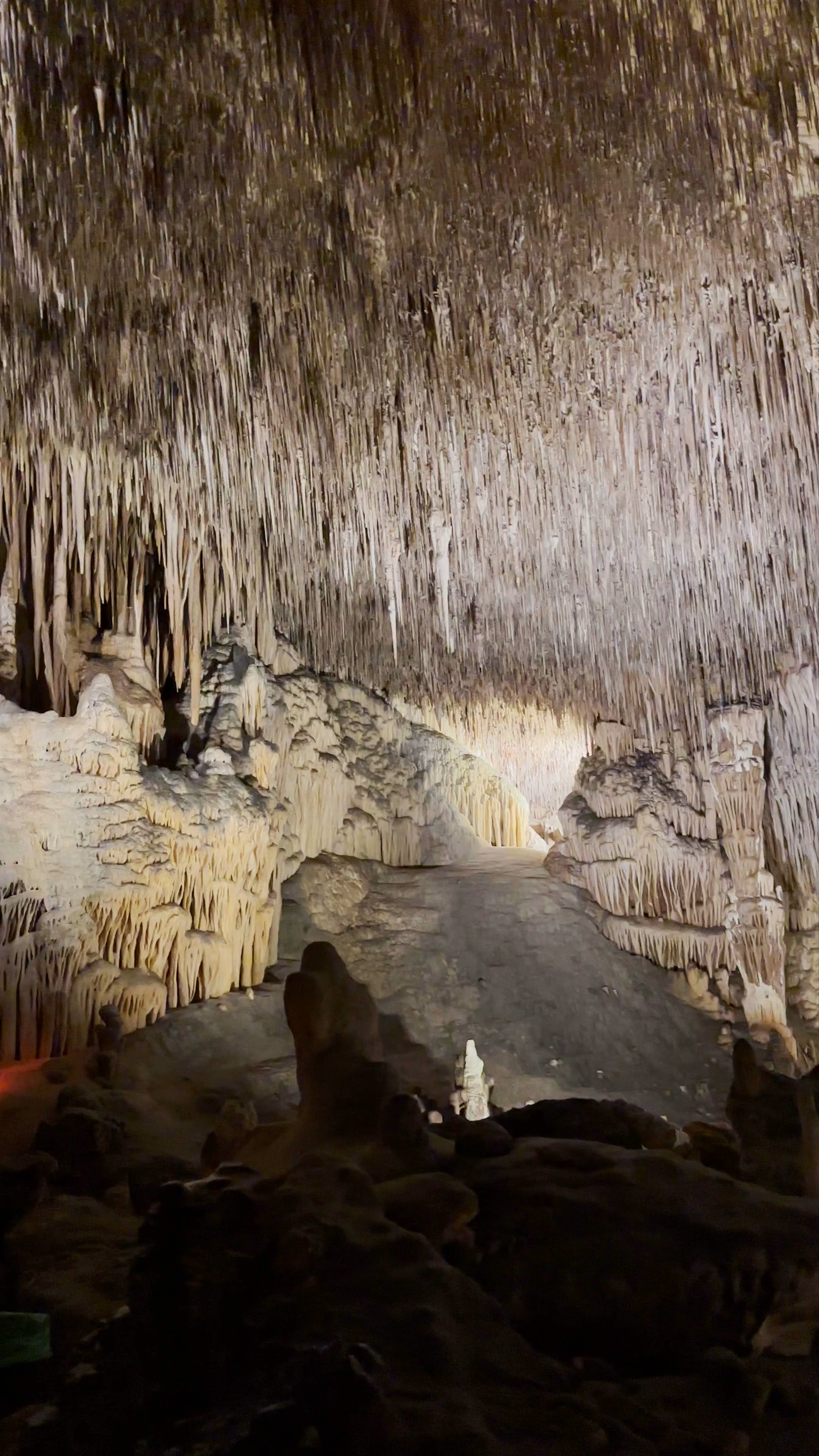 Cuevas del Drach