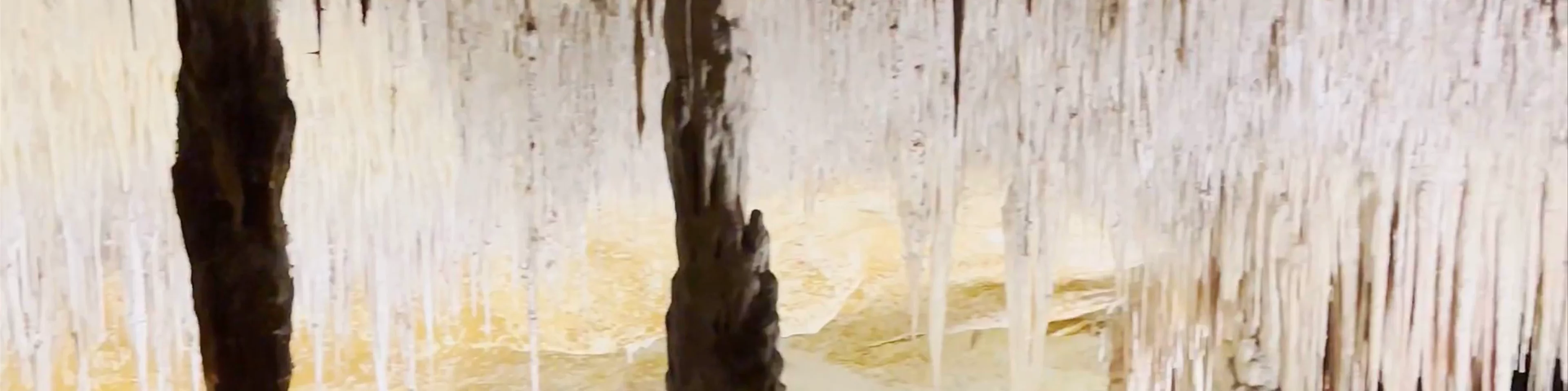 Cuevas del Drach