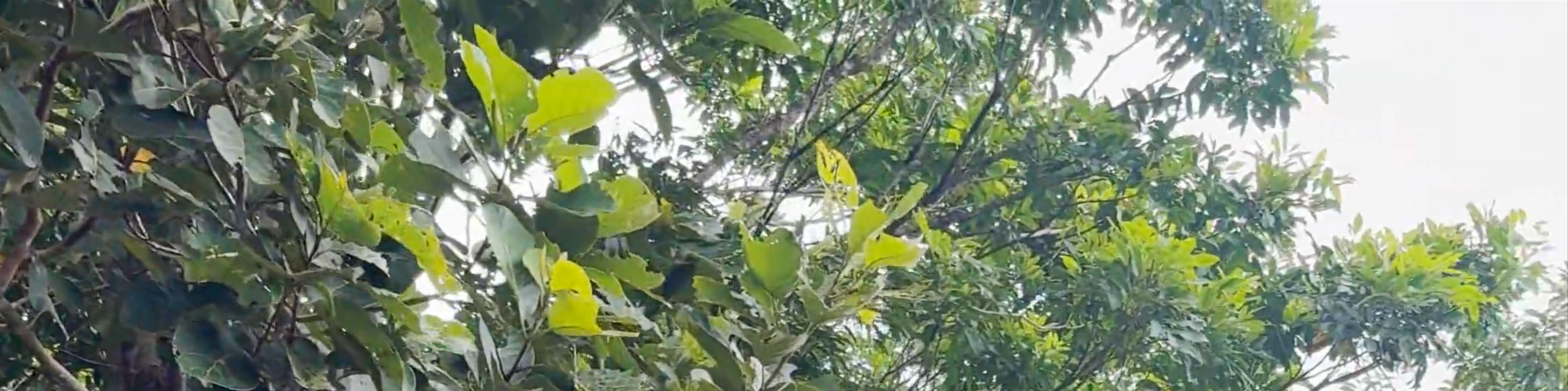 Queensland