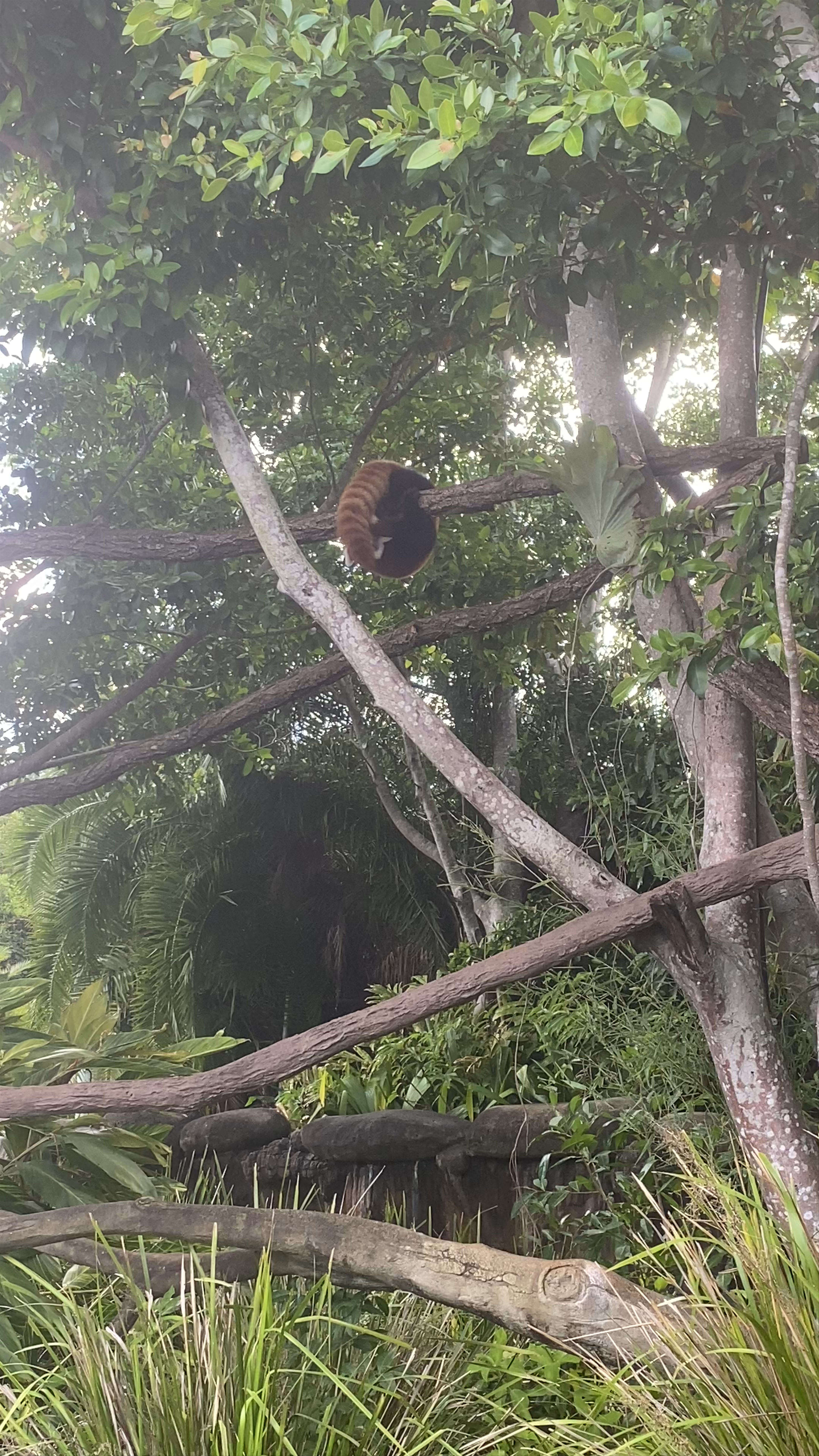 Australia Zoo