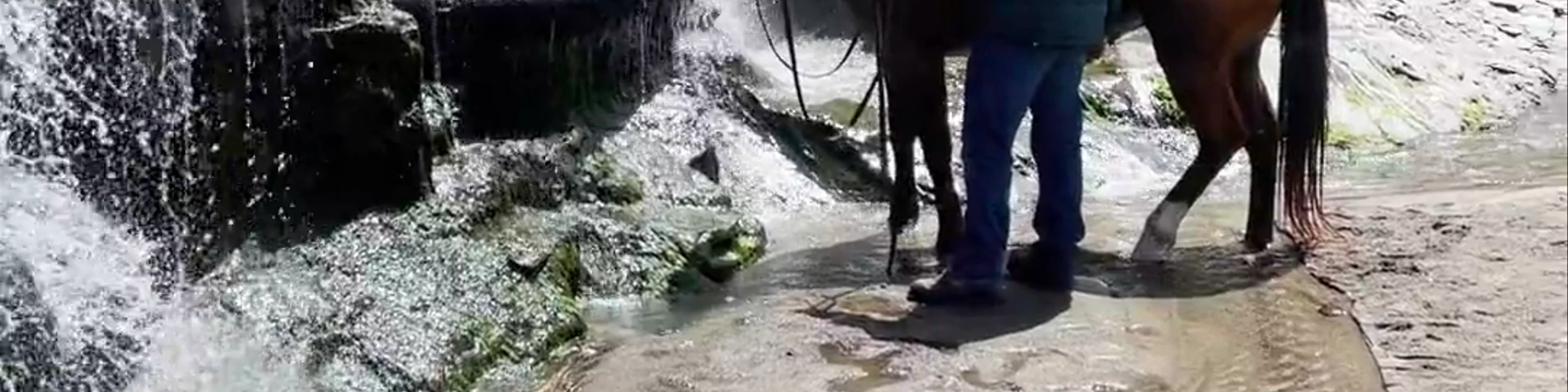 Alamere Falls