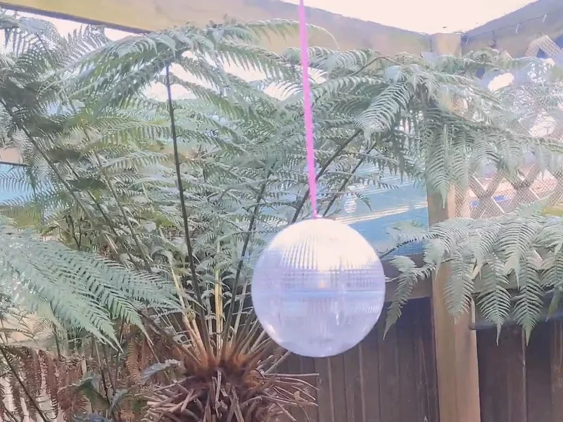 Solar Powered Lights